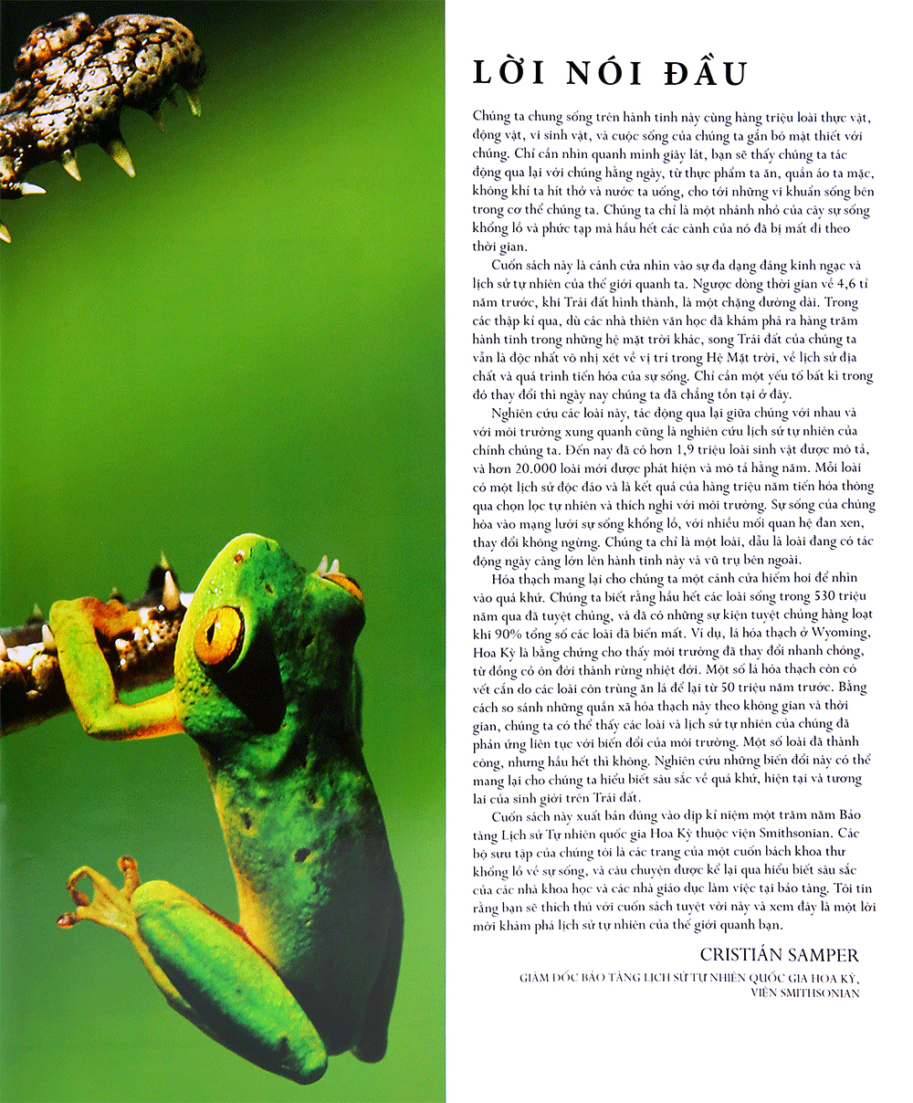 lịch sử tự nhiên - Ảnh 6