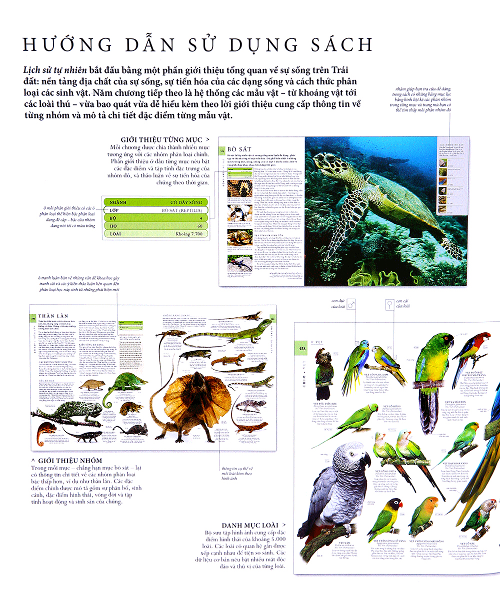 lịch sử tự nhiên - Ảnh 7