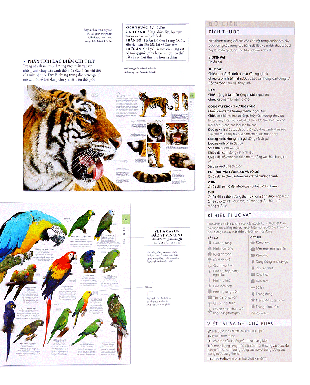 lịch sử tự nhiên - Ảnh 8