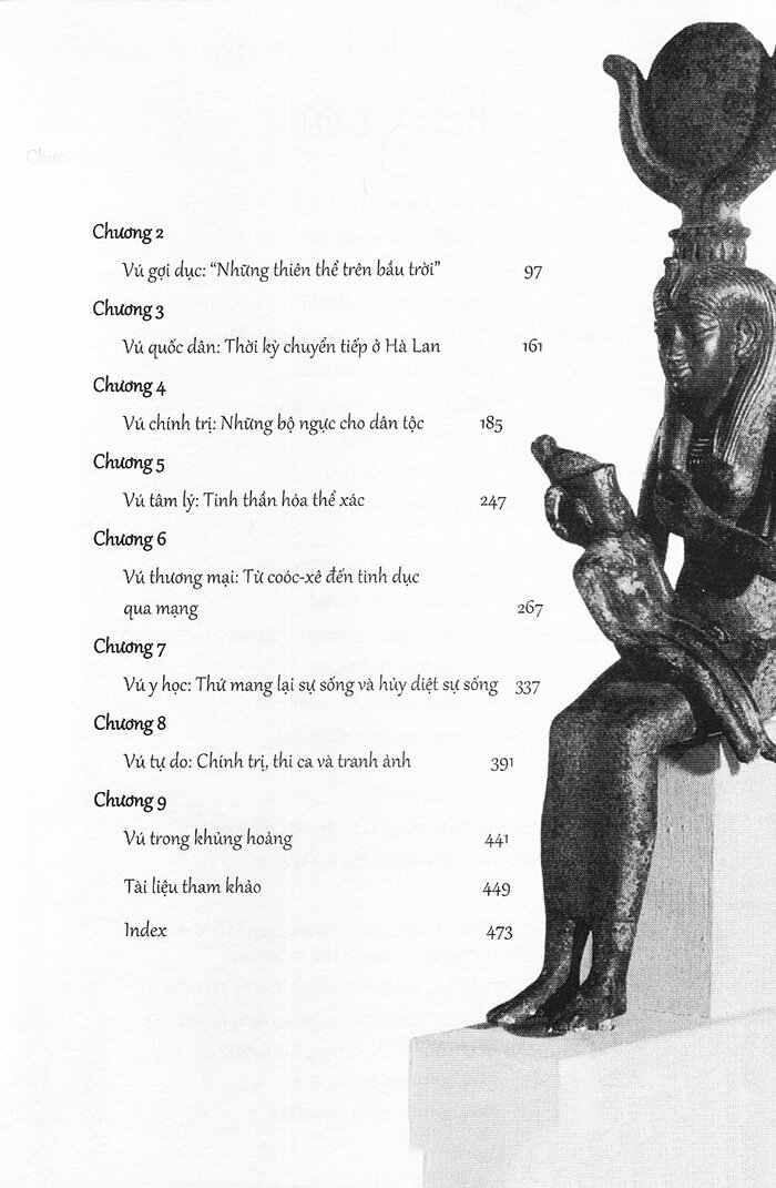 lịch sử vú - Ảnh 8