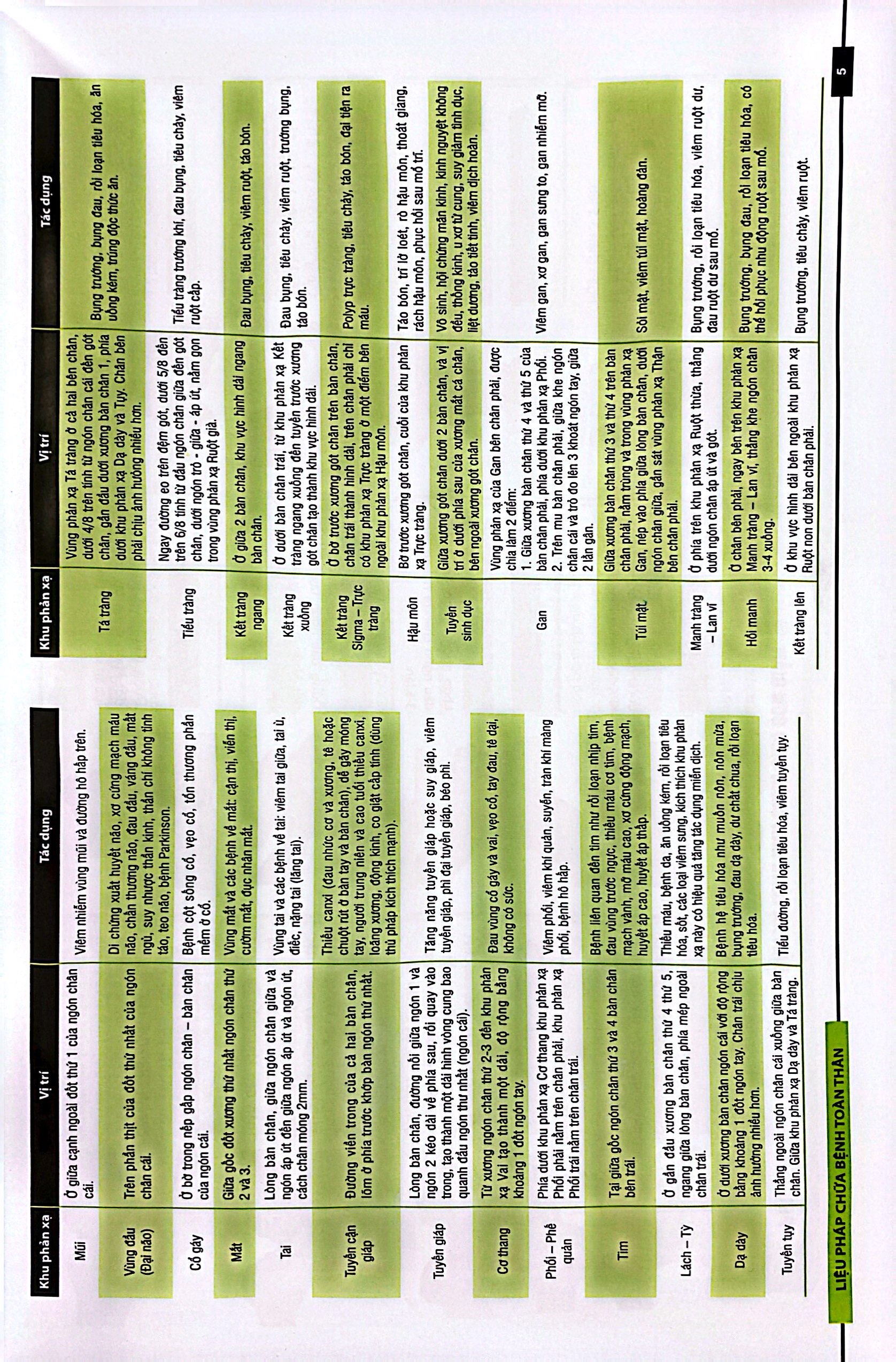 liệu pháp chữa bệnh toàn thân - khu phản xạ - Ảnh 5