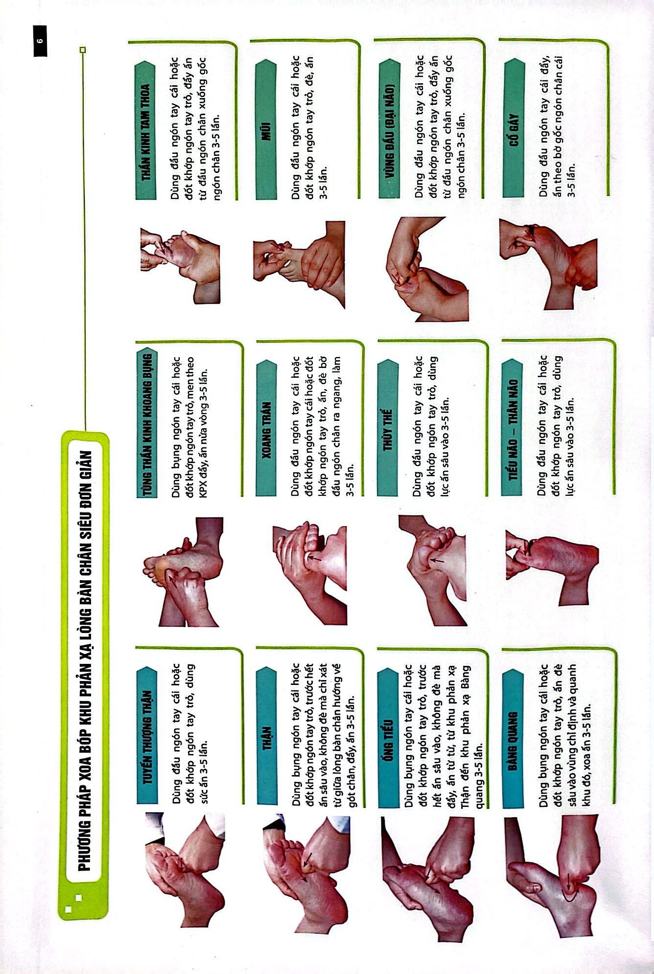 liệu pháp chữa bệnh toàn thân - khu phản xạ - Ảnh 6