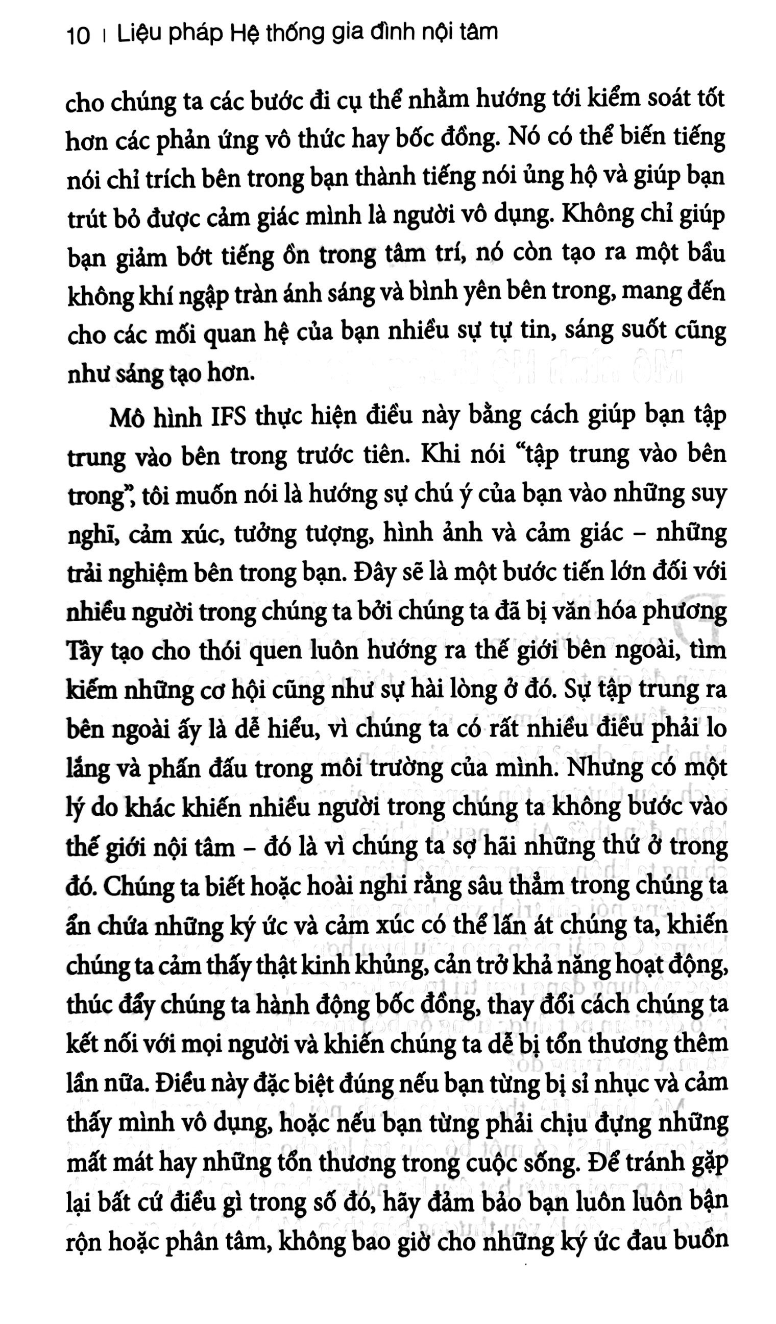 liệu pháp hệ thống gia đình nội tâm - Ảnh 11