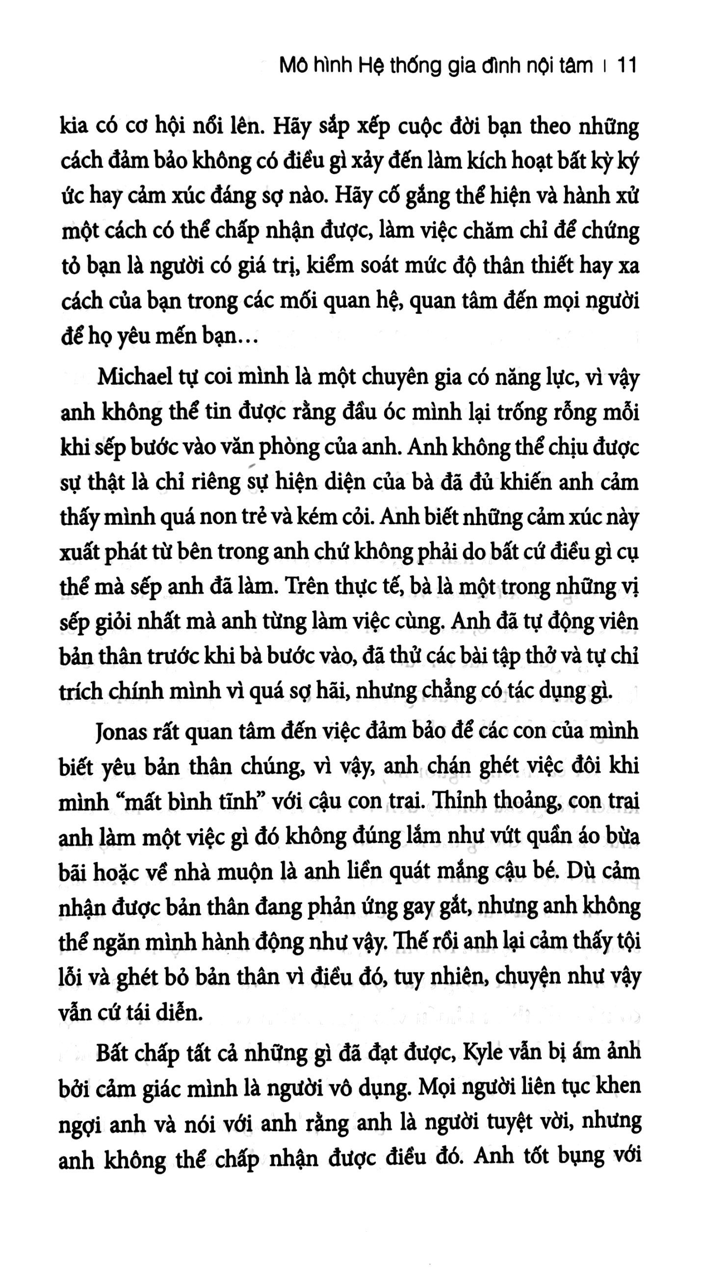 liệu pháp hệ thống gia đình nội tâm - Ảnh 13