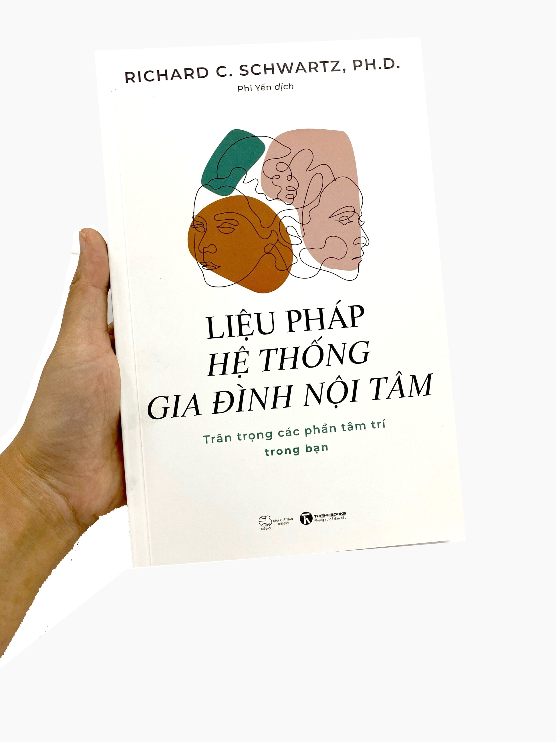 liệu pháp hệ thống gia đình nội tâm - Ảnh 16