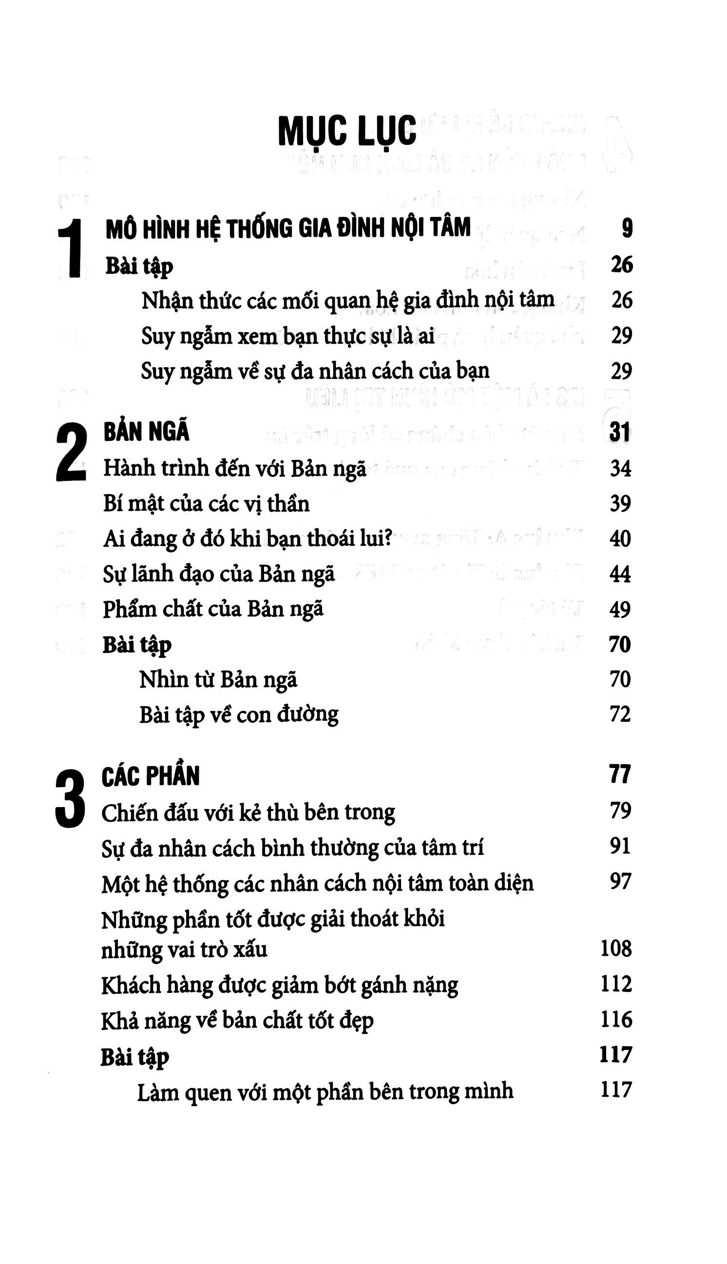 liệu pháp hệ thống gia đình nội tâm - Ảnh 4