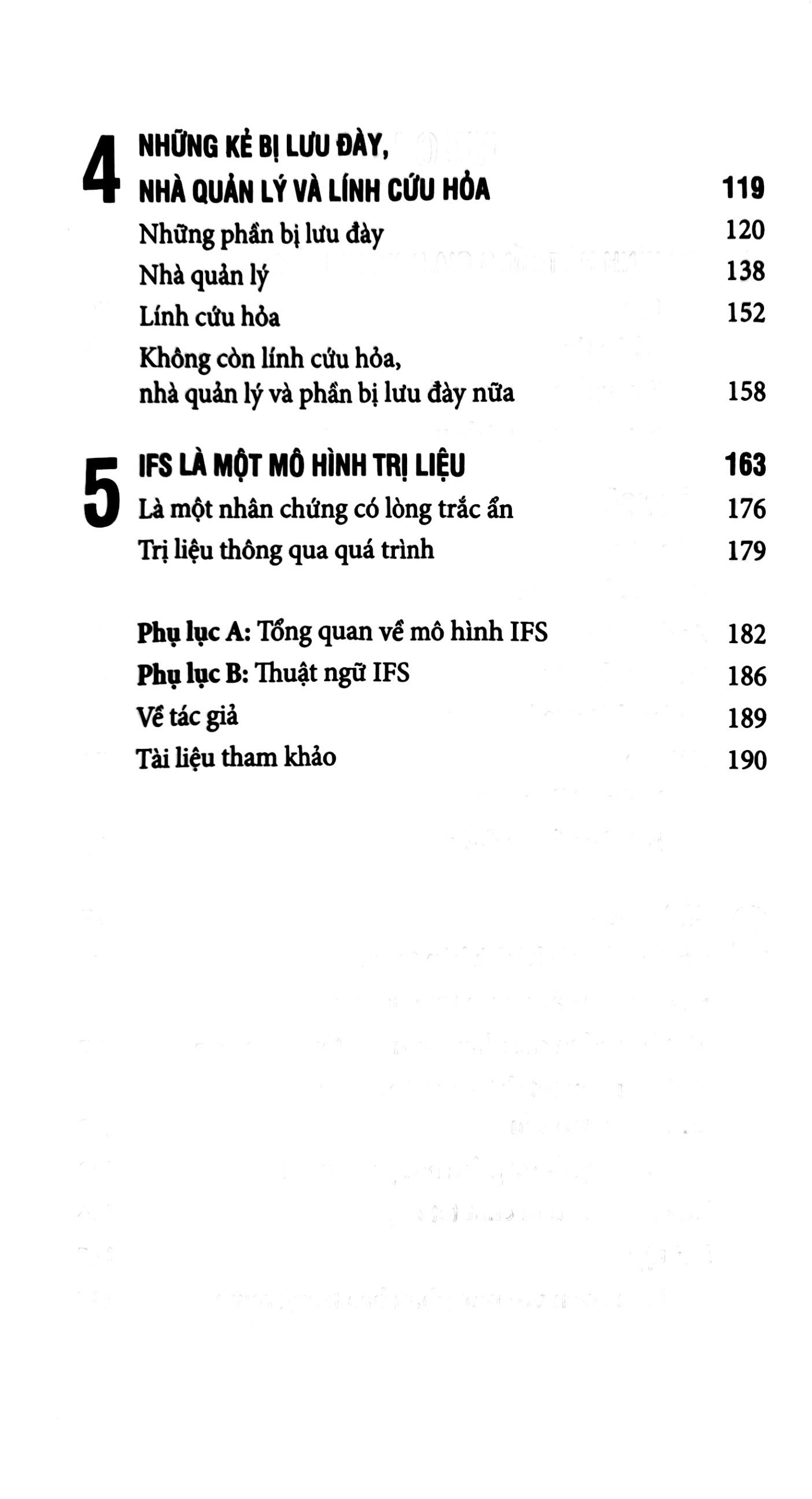 liệu pháp hệ thống gia đình nội tâm - Ảnh 7