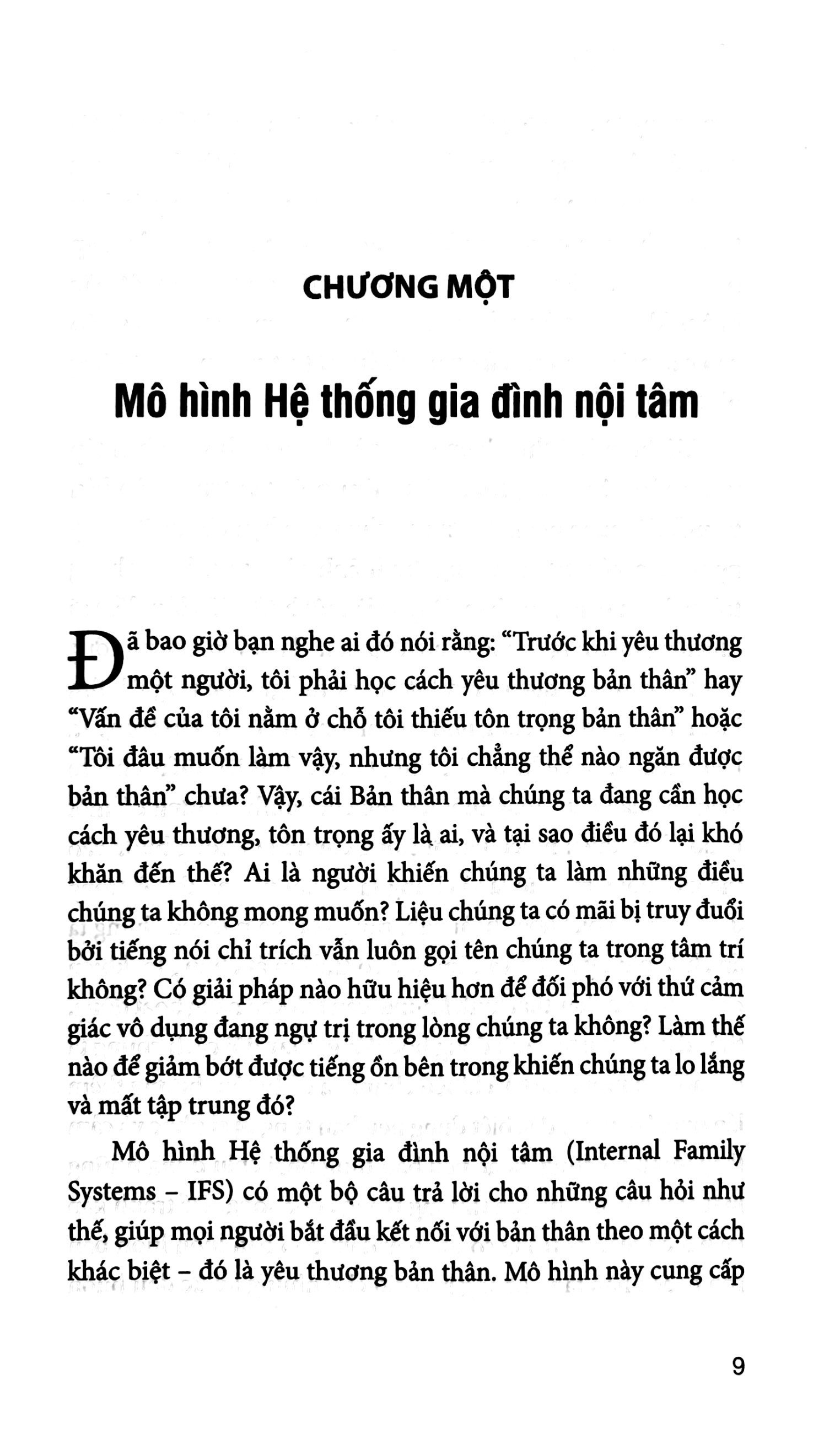 liệu pháp hệ thống gia đình nội tâm - Ảnh 9