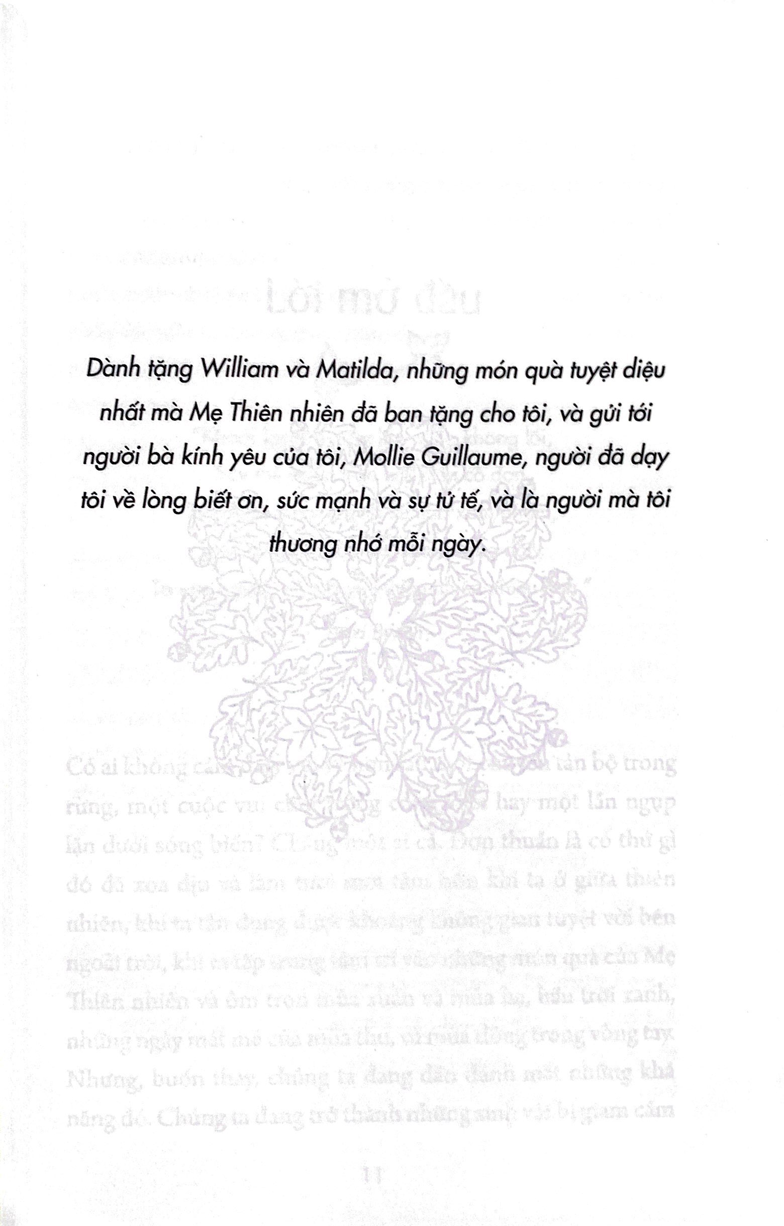 liệu pháp rừng - kết nối thiên nhiên và trở nên hạnh phúc hơn - Ảnh 6
