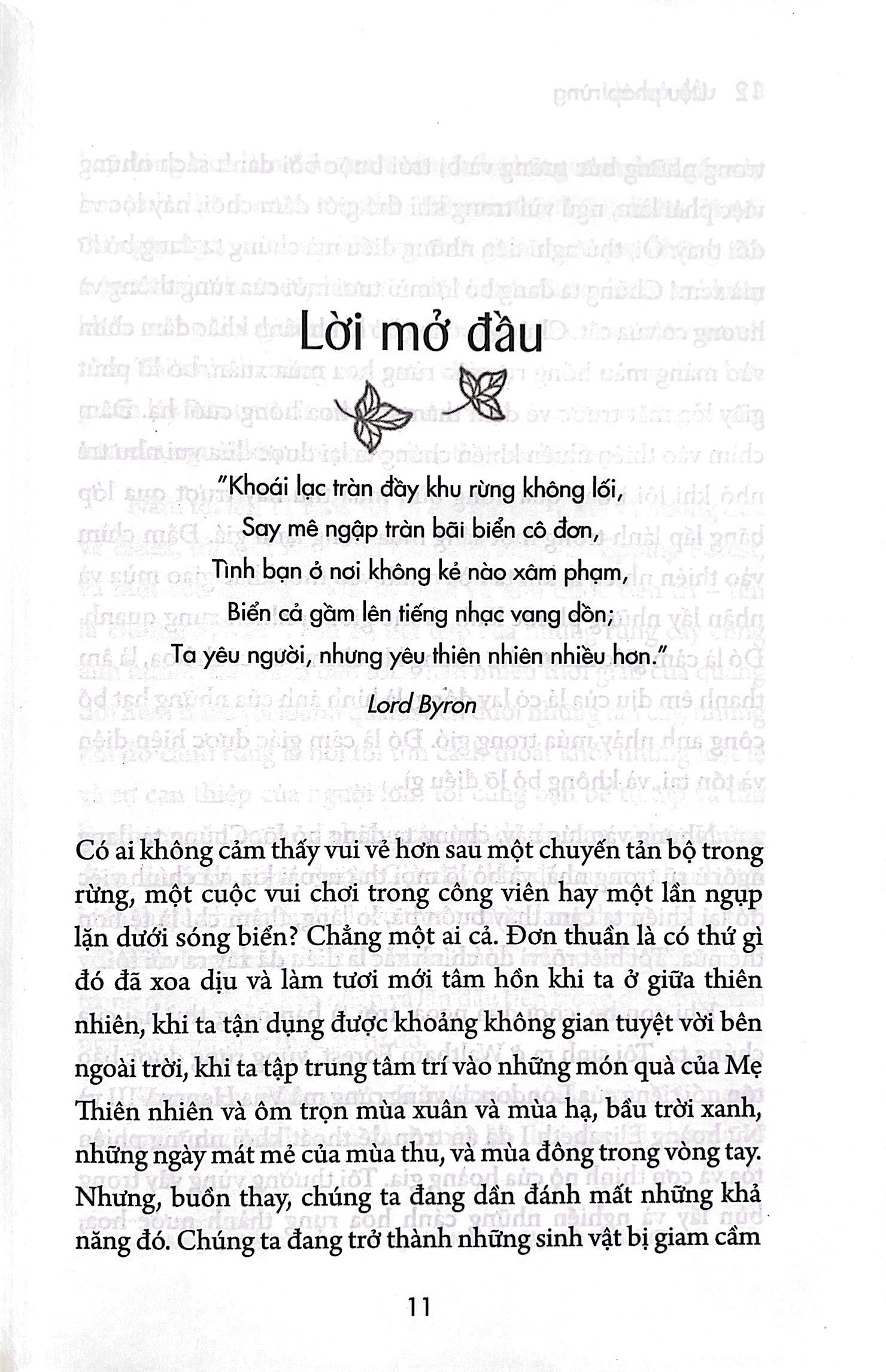 liệu pháp rừng - kết nối thiên nhiên và trở nên hạnh phúc hơn - Ảnh 7