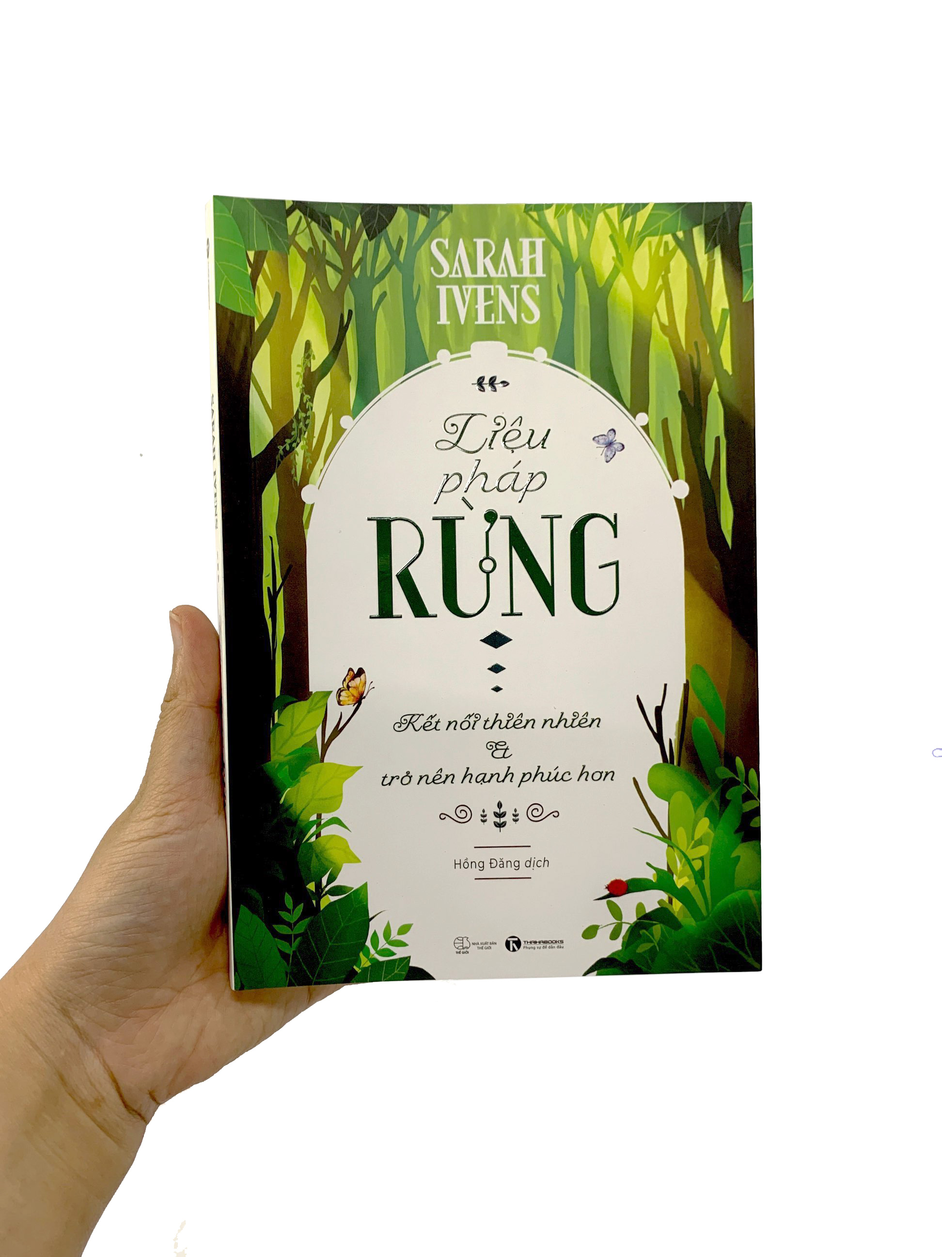 liệu pháp rừng - kết nối thiên nhiên và trở nên hạnh phúc hơn - Ảnh 9