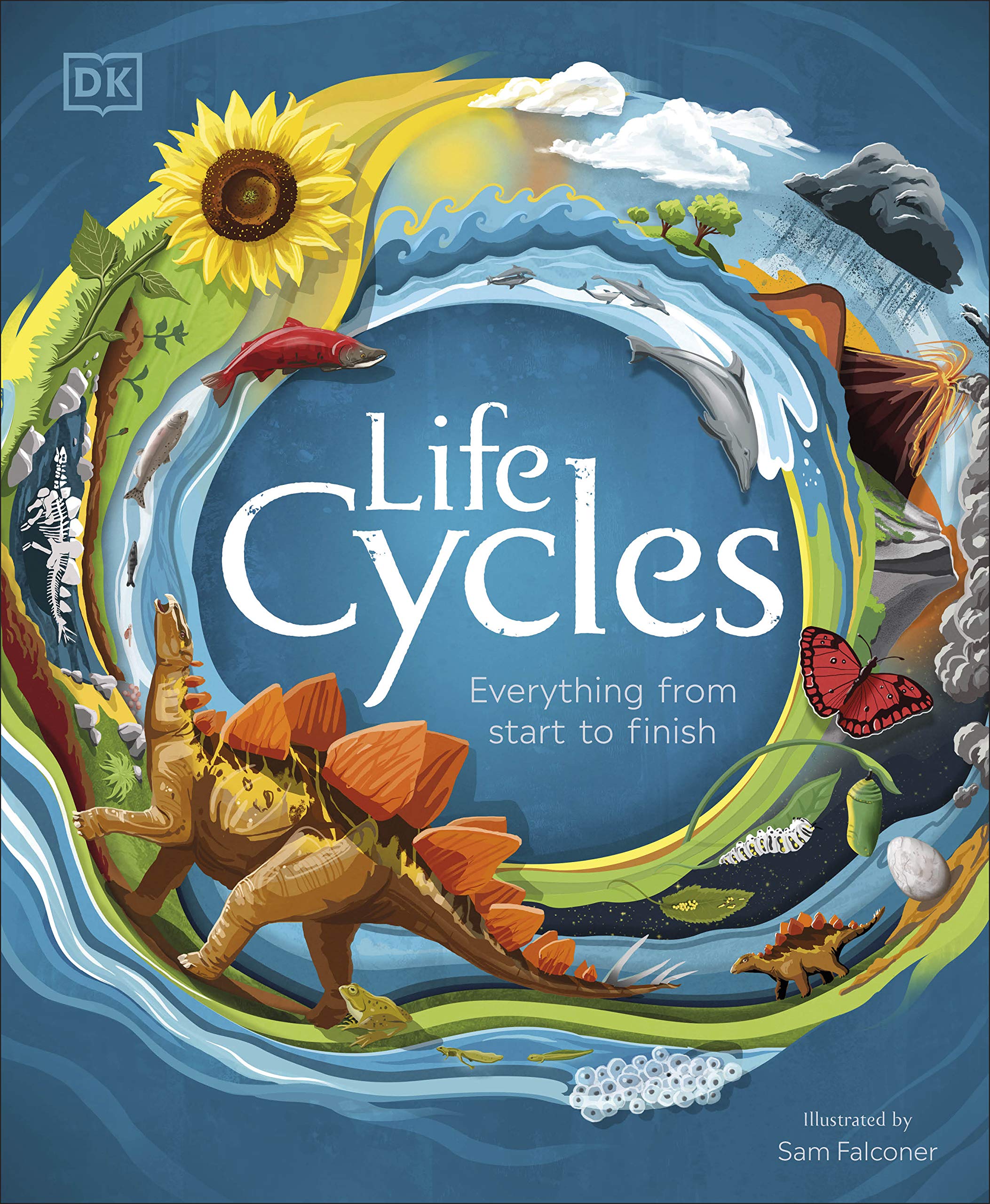 life cycles: everything from start to finish - Ảnh 2