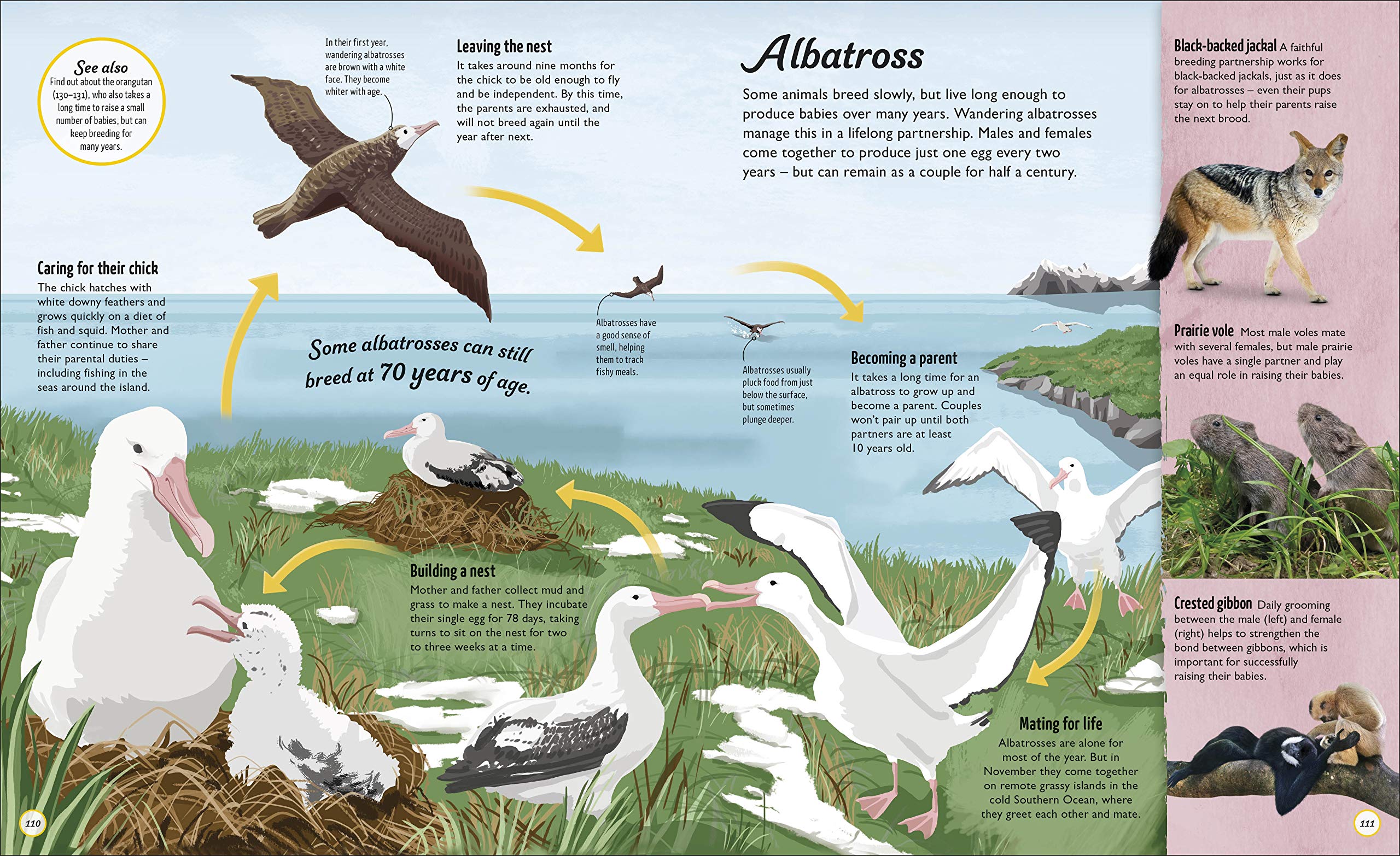 life cycles: everything from start to finish - Ảnh 5