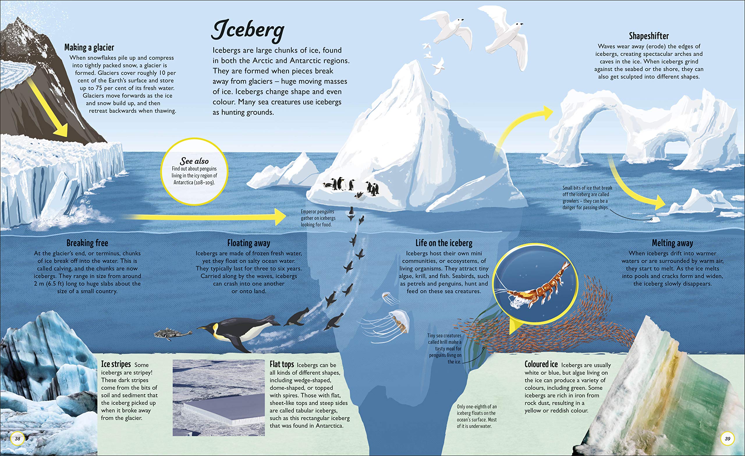 life cycles: everything from start to finish - Ảnh 7