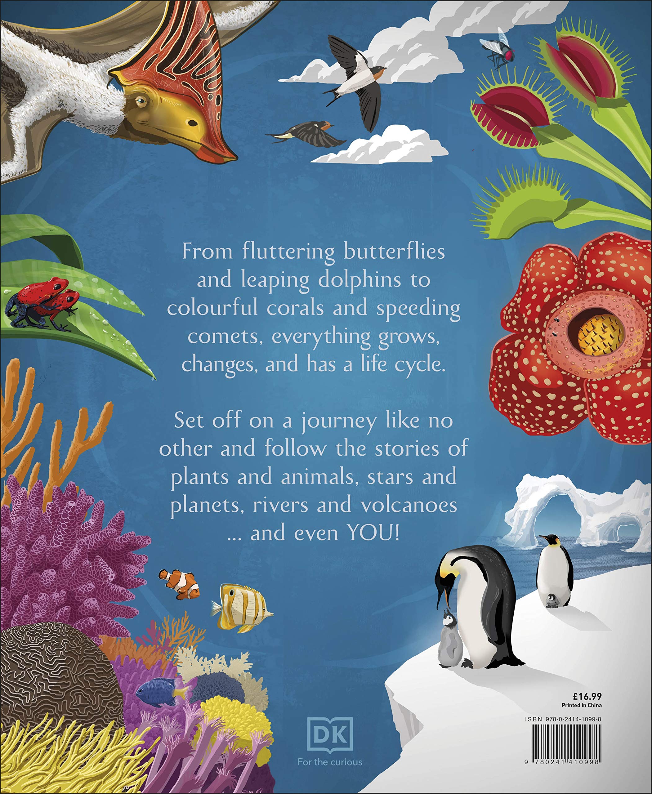 life cycles: everything from start to finish - Ảnh 8