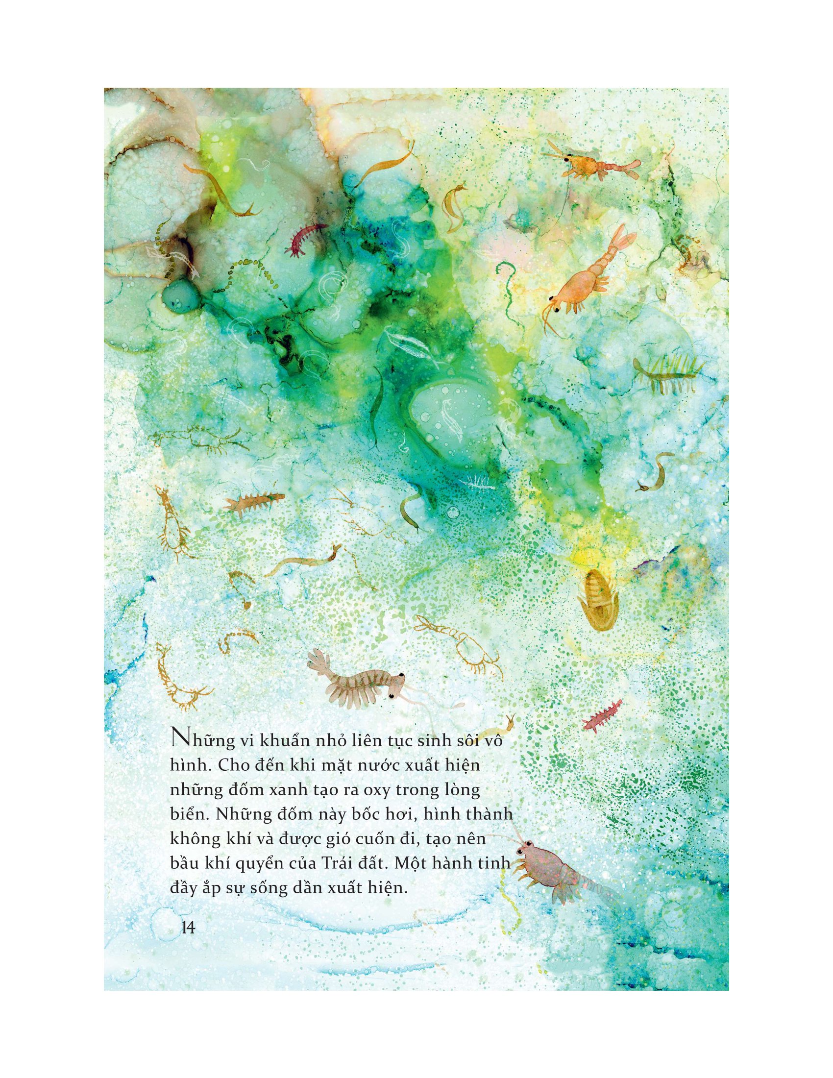 life - lược sử và nguồn gốc của trái đất - Ảnh 13