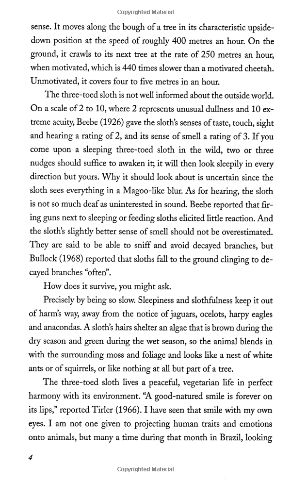 life of pi - Ảnh 8