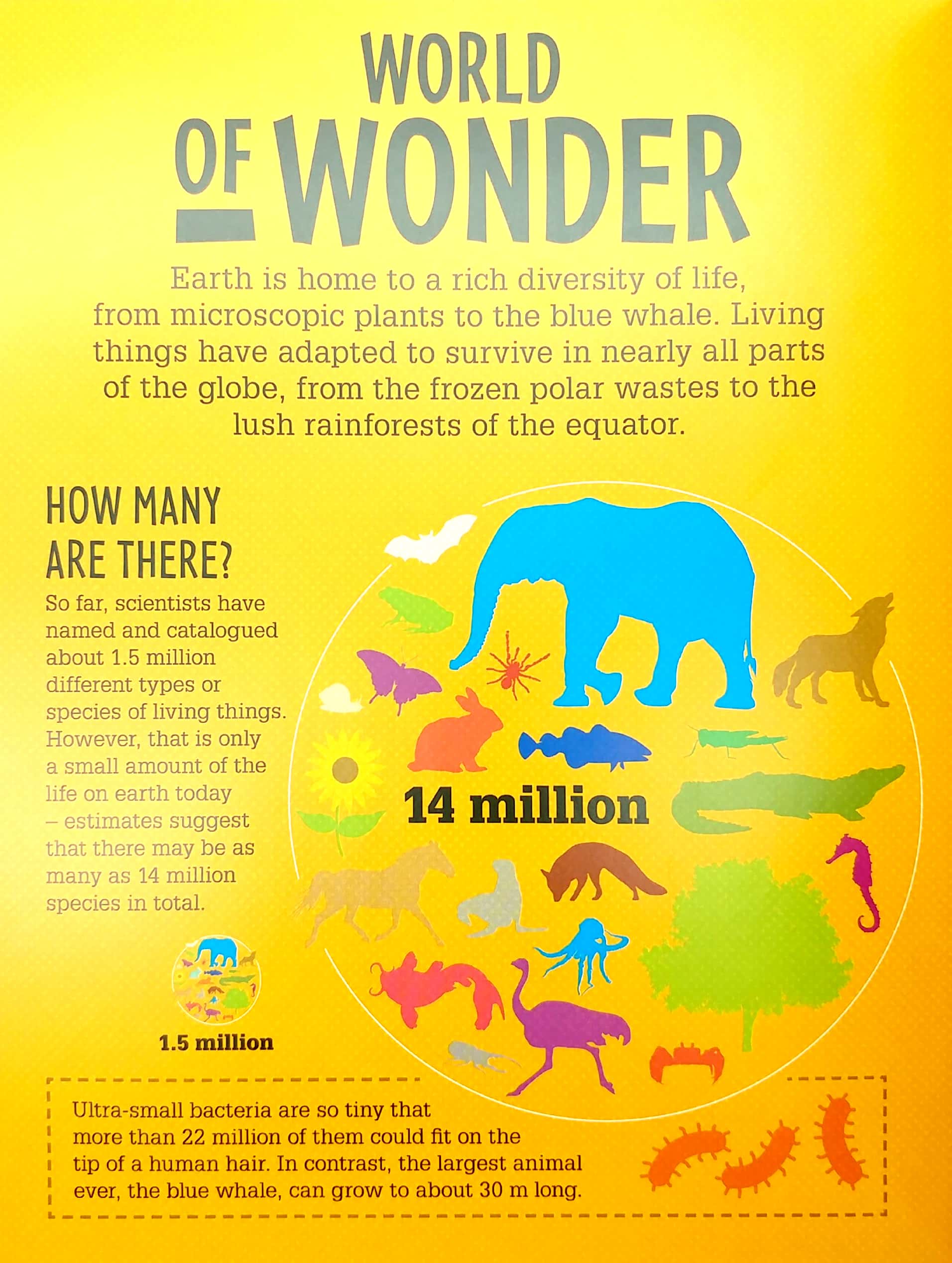 life on earth (infographics: how it works) - Ảnh 4