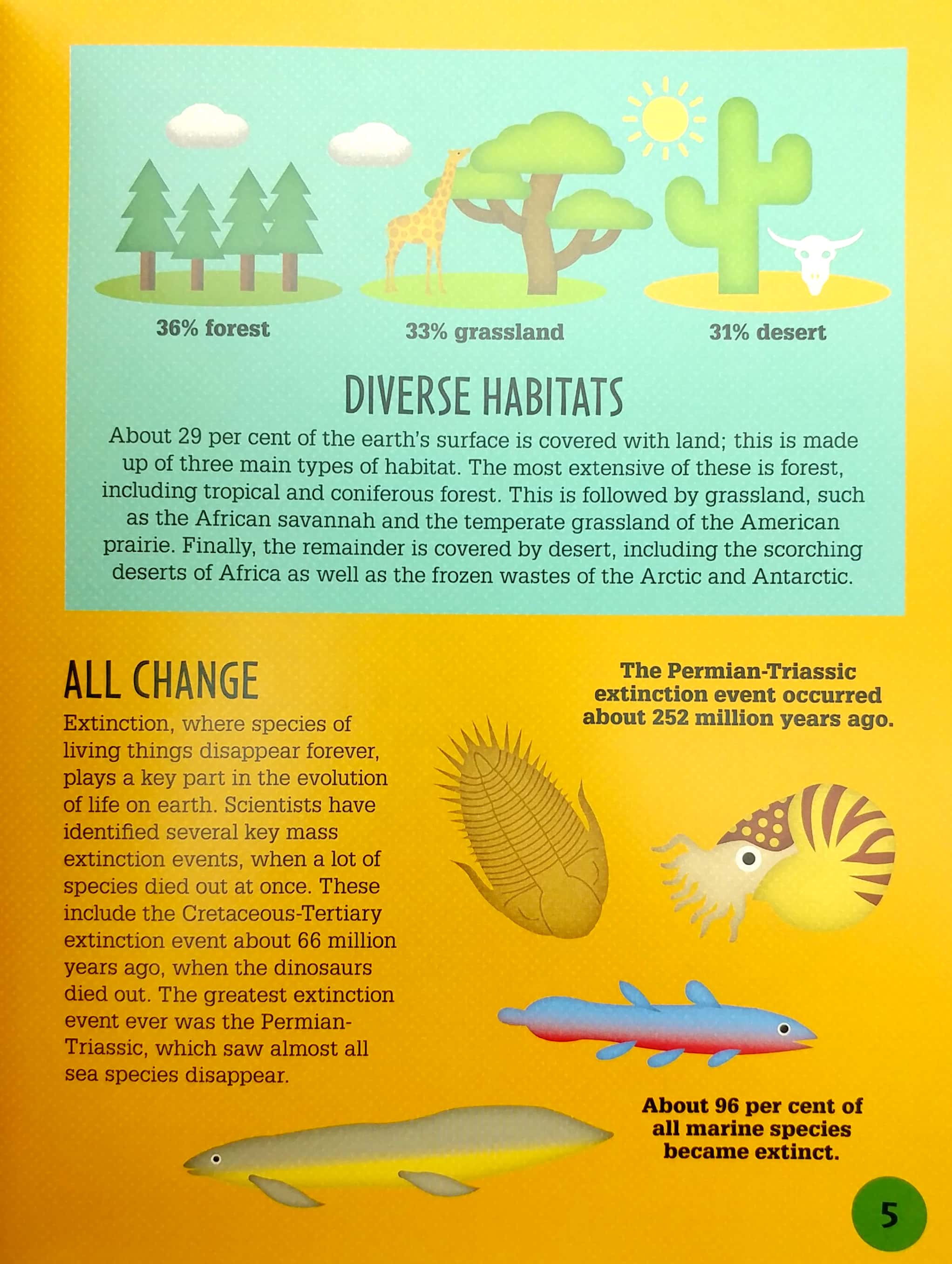 life on earth (infographics: how it works) - Ảnh 5