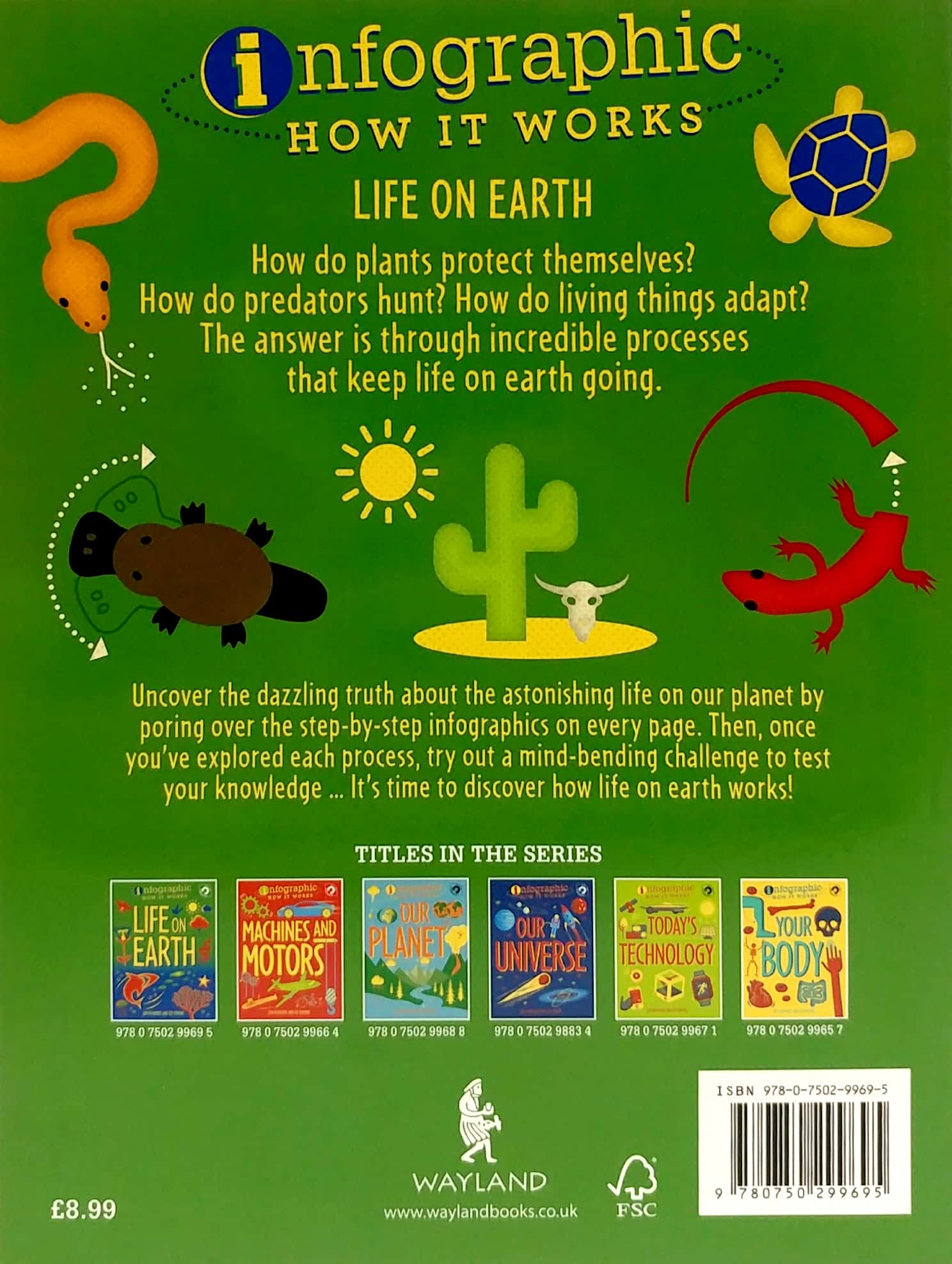 life on earth (infographics: how it works) - Ảnh 6