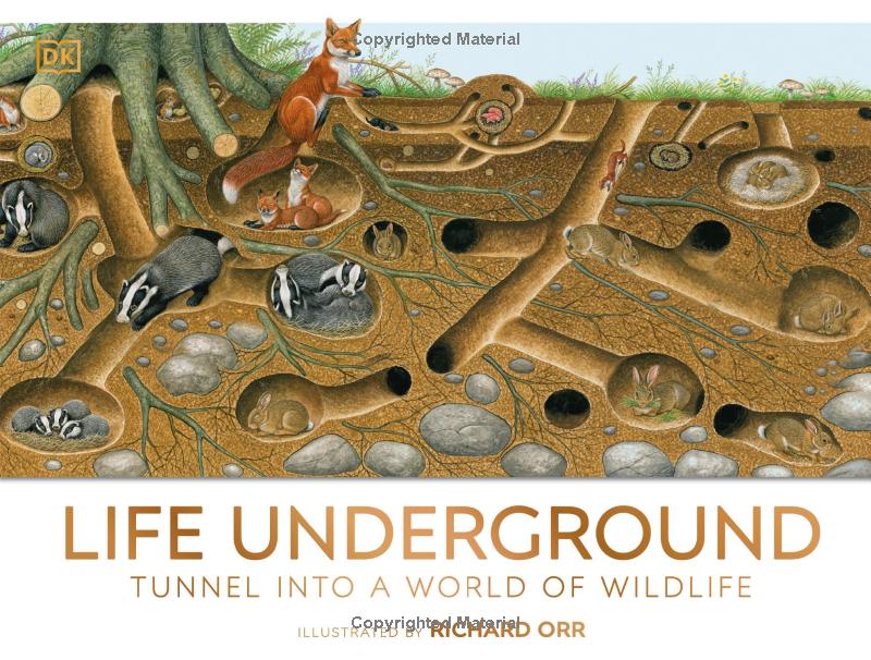 life underground - tunnel into a world of wildlife - Ảnh 2