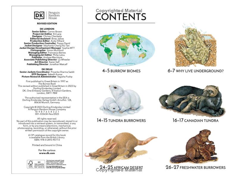 life underground - tunnel into a world of wildlife - Ảnh 5