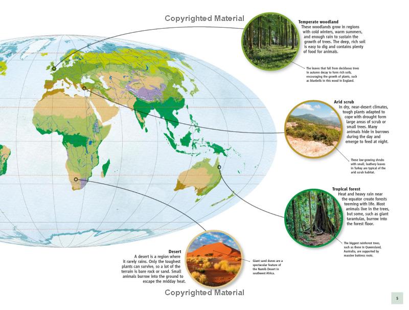 life underground - tunnel into a world of wildlife - Ảnh 8