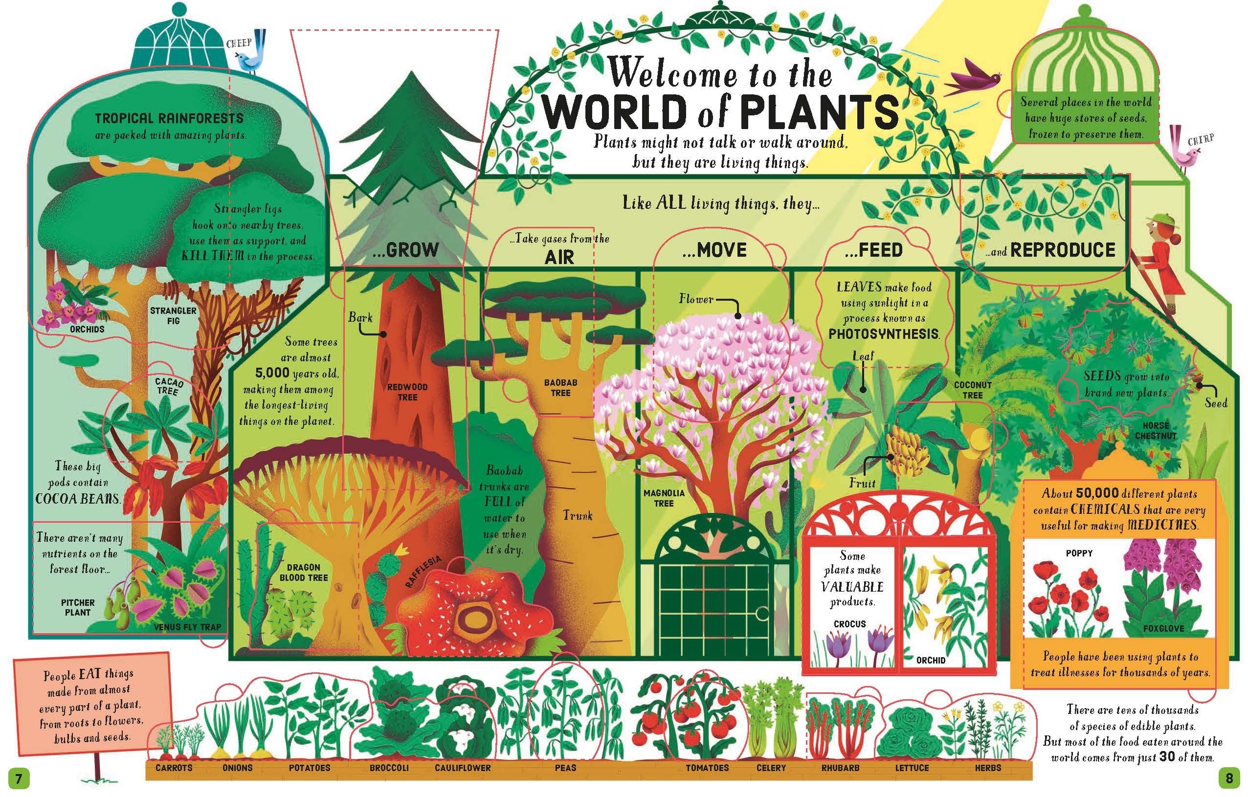 lift-the-flap biology - Ảnh 4