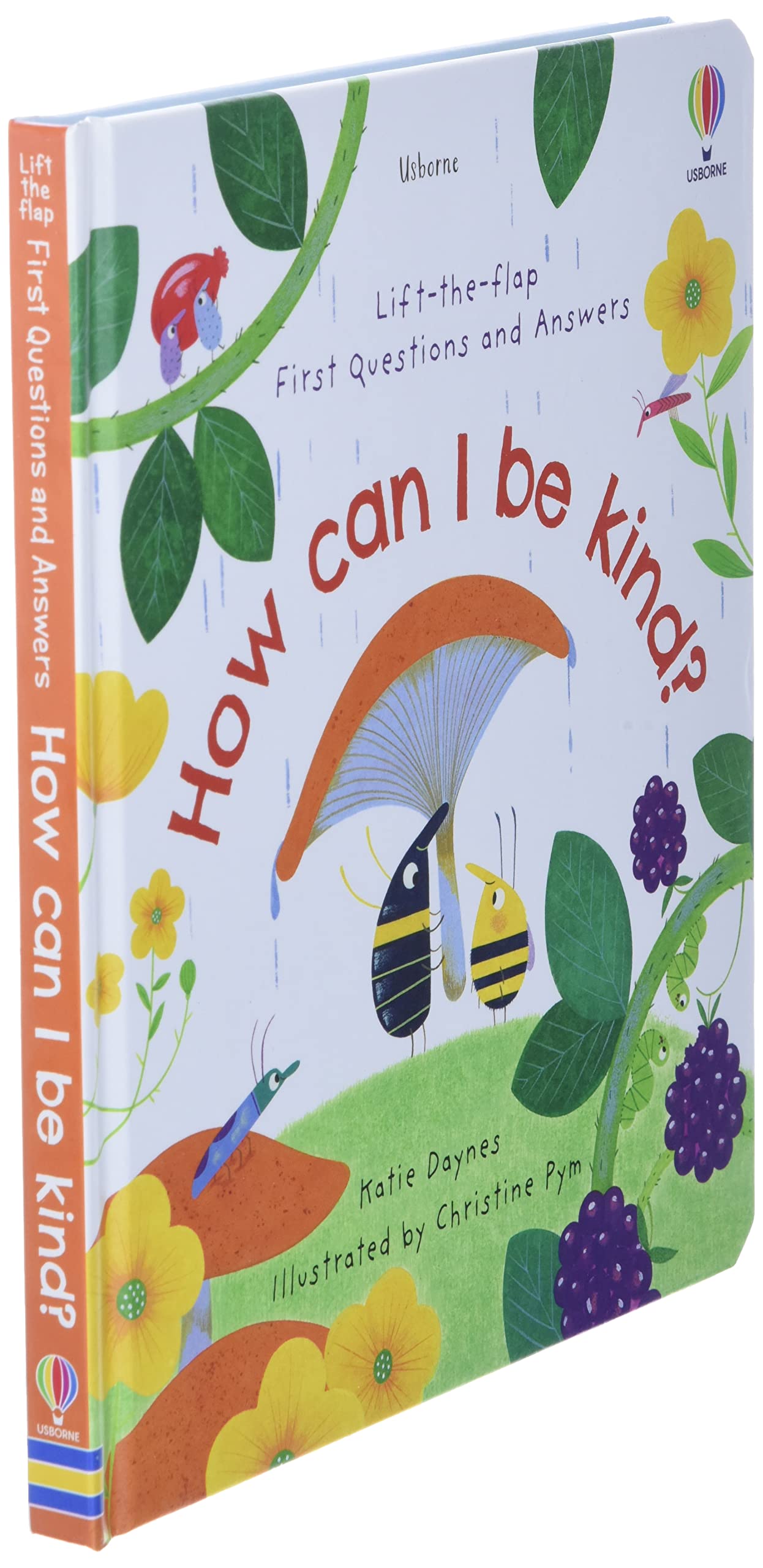 lift-the-flap first questions and answers how can i be kind? - Ảnh 7