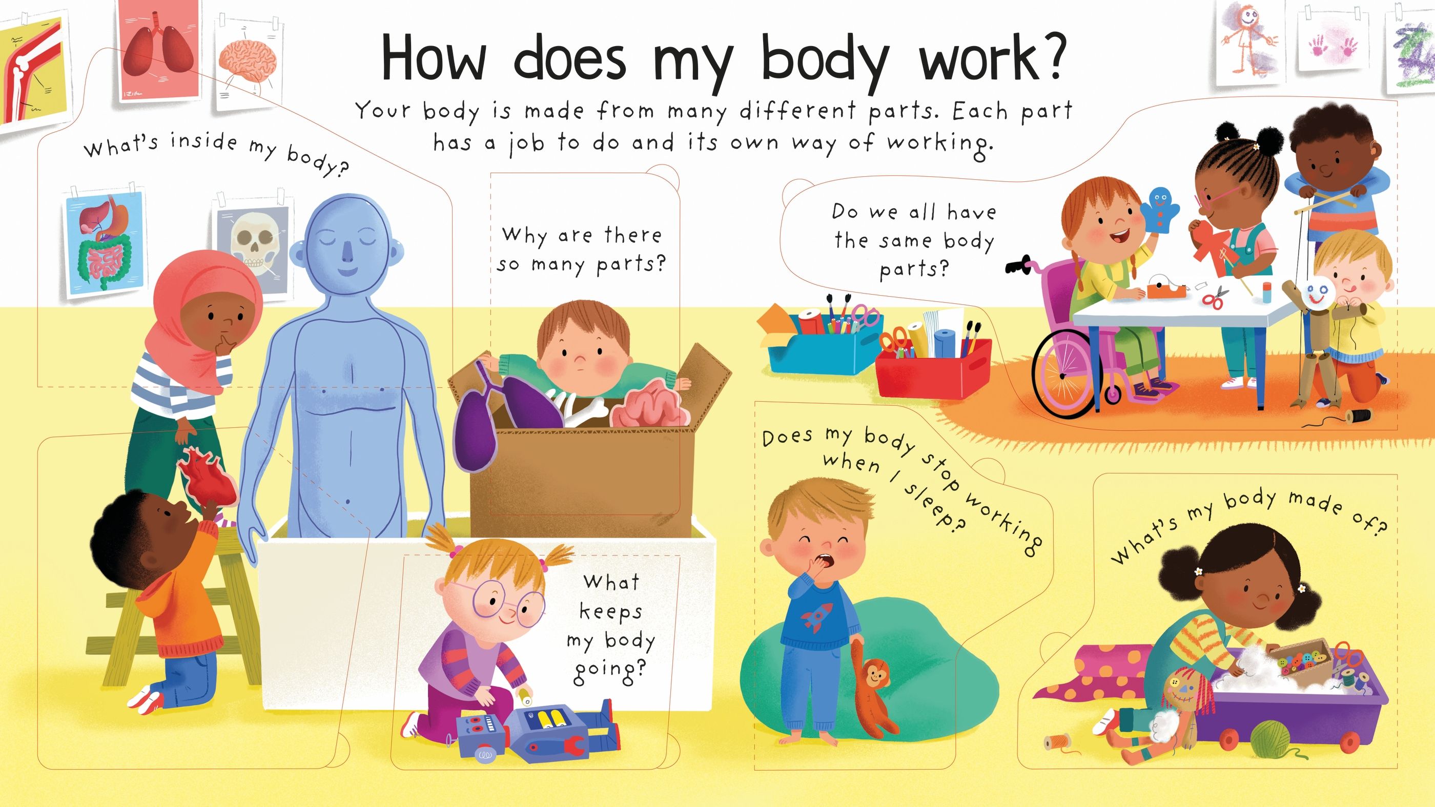 lift the flap first questions and answers - how does my body work? - Ảnh 3