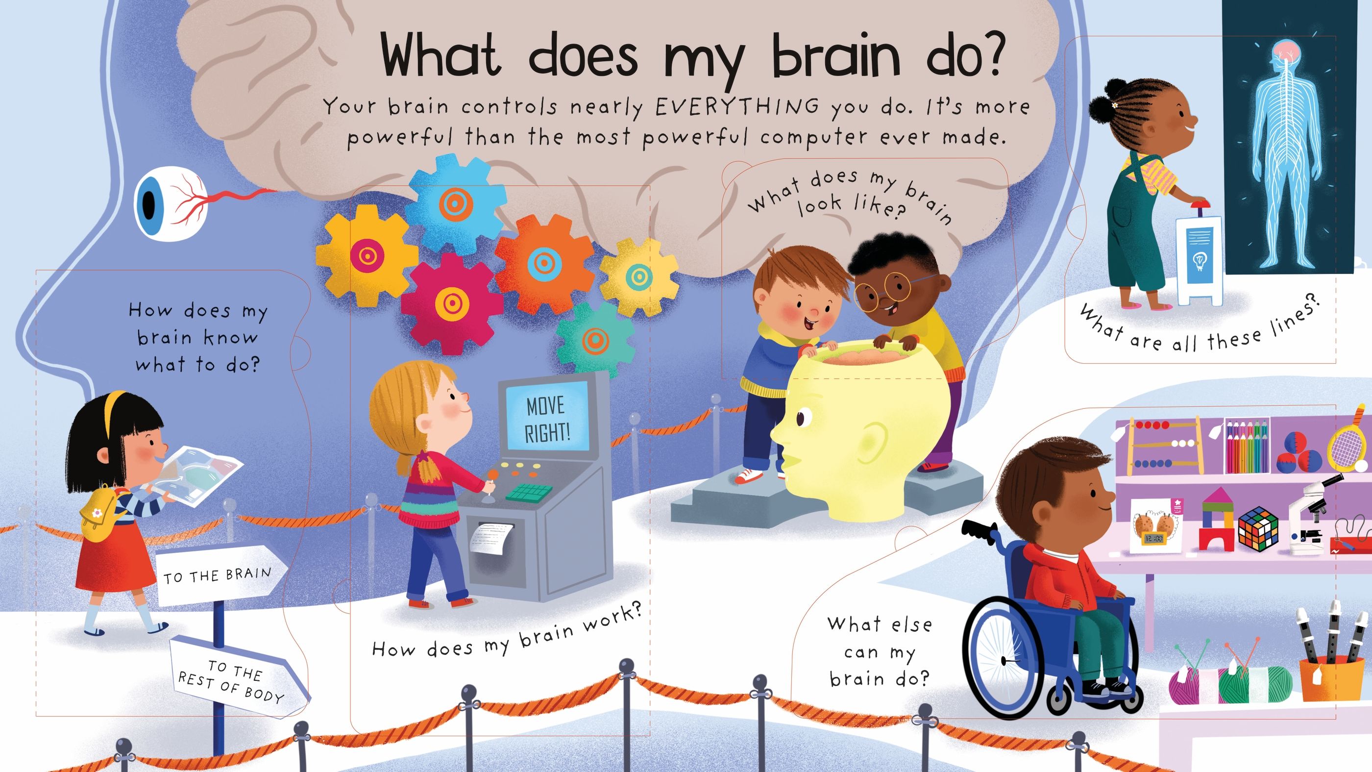 lift the flap first questions and answers - how does my body work? - Ảnh 5