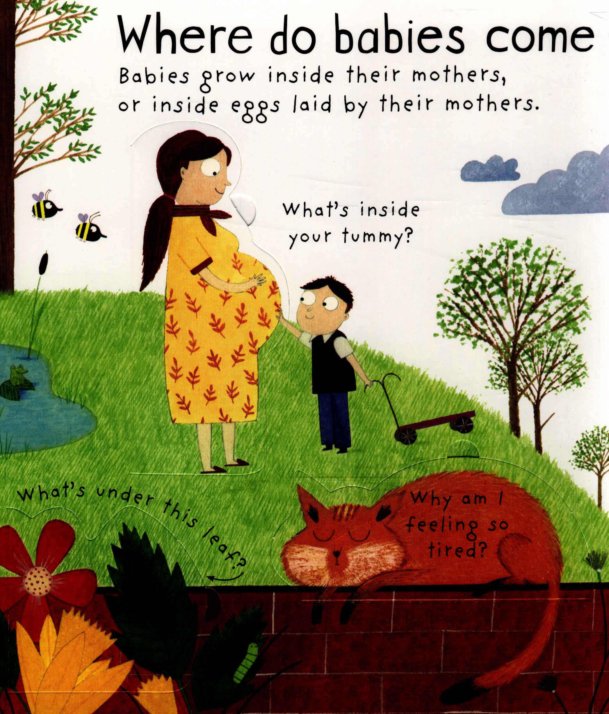 lift-the-flap first questions and answers where do babies come from? - Ảnh 3