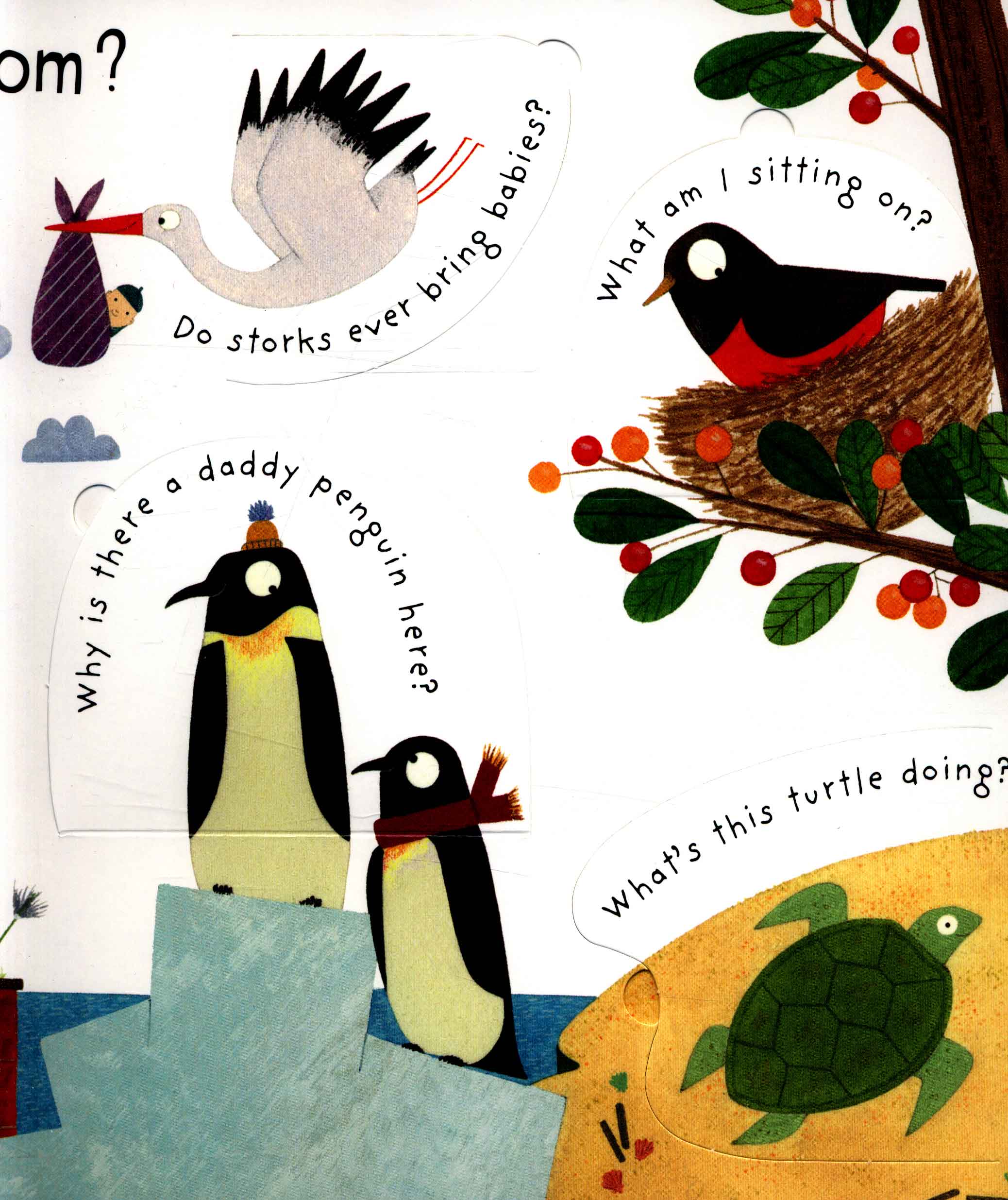 lift-the-flap first questions and answers where do babies come from? - Ảnh 4