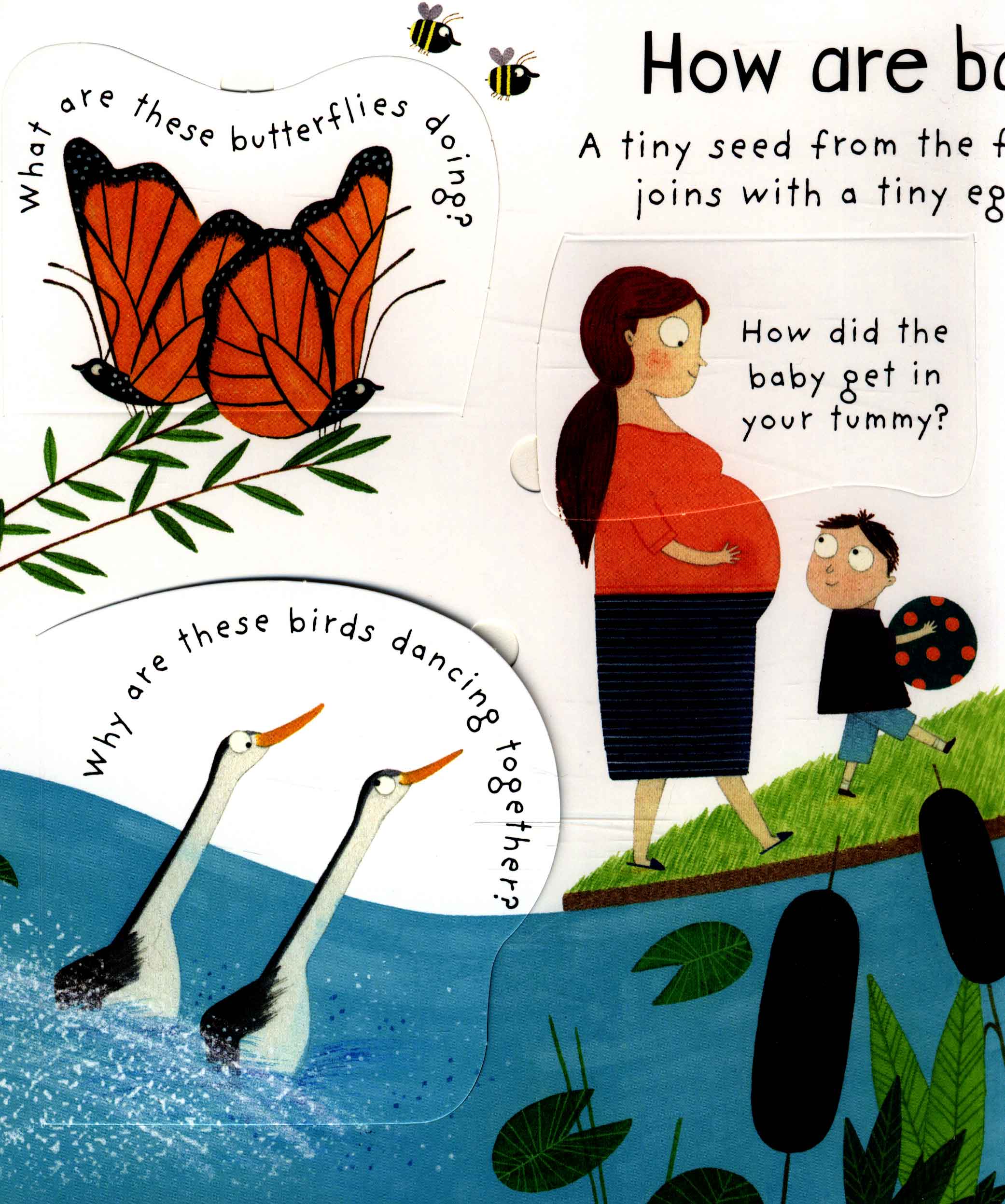 lift-the-flap first questions and answers where do babies come from? - Ảnh 5
