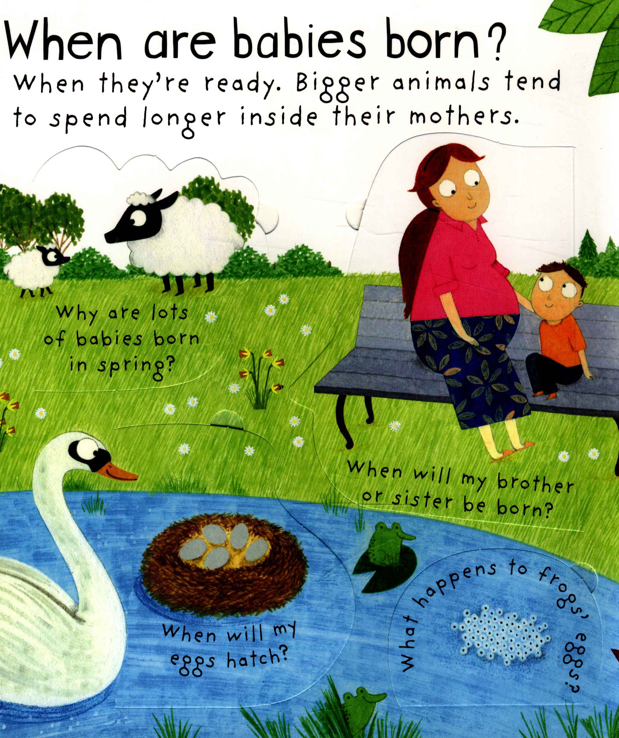 lift-the-flap first questions and answers where do babies come from? - Ảnh 7