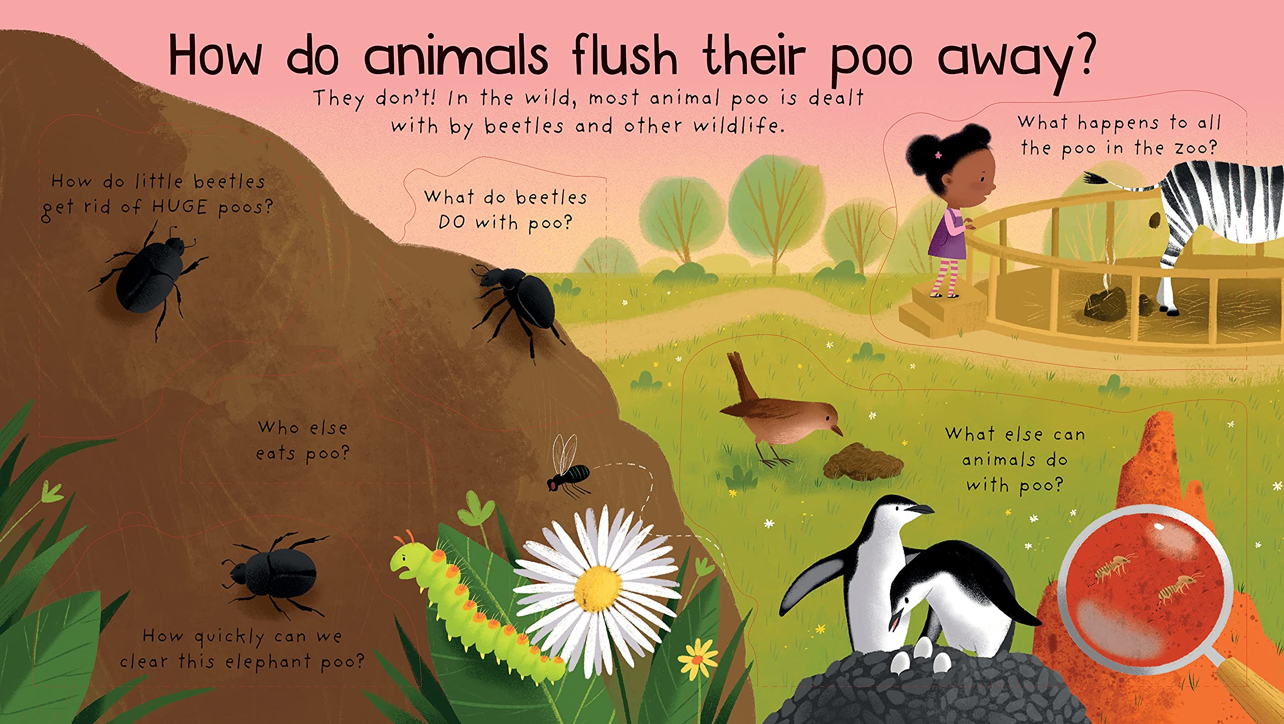 lift-the-flap first questions and answers where does poo go? - Ảnh 3