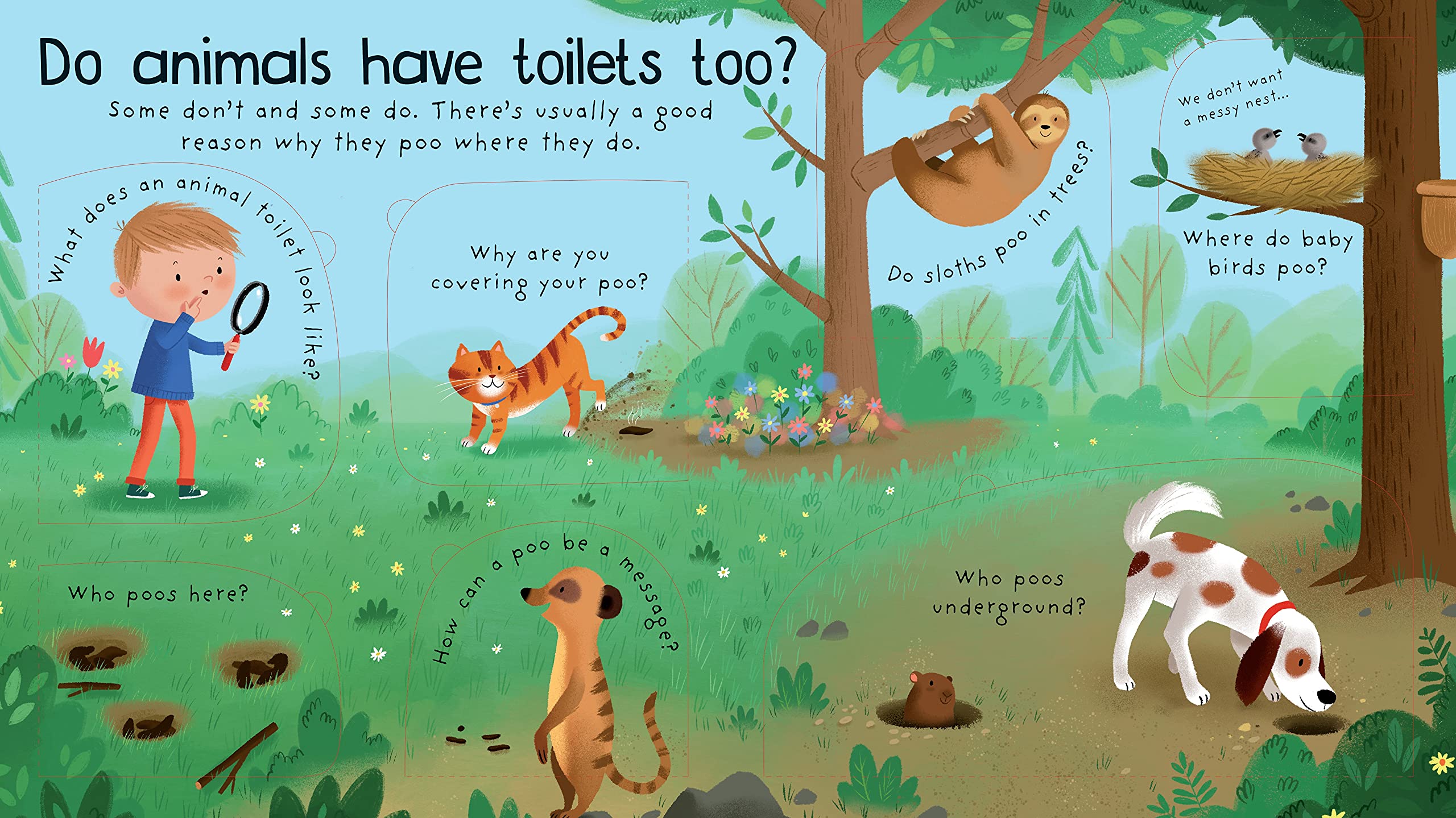 lift-the-flap first questions and answers where does poo go? - Ảnh 5