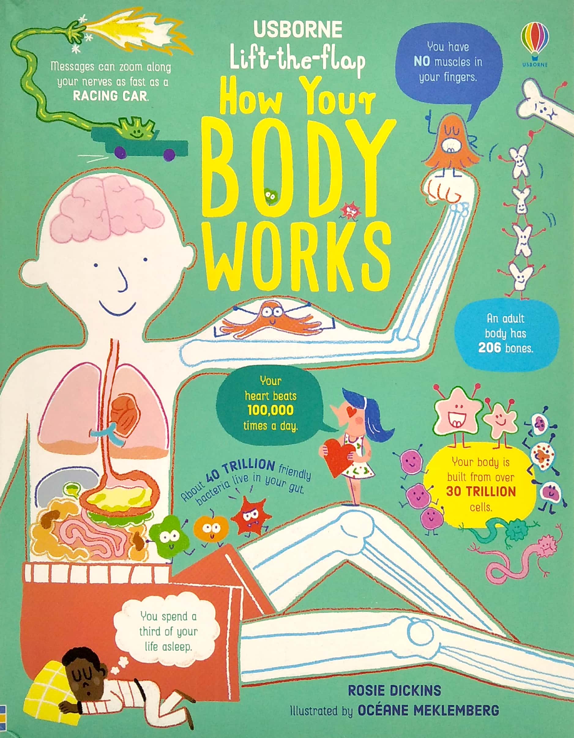 lift-the-flap how your body works - Ảnh 2