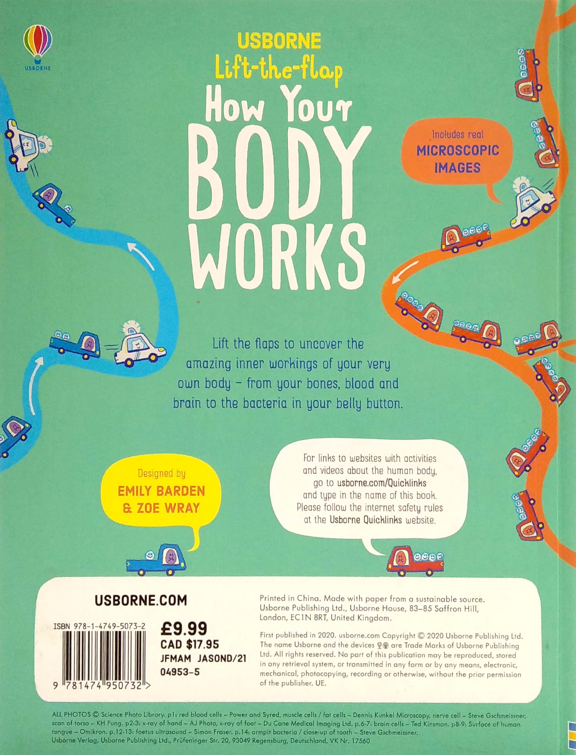 lift-the-flap how your body works - Ảnh 6