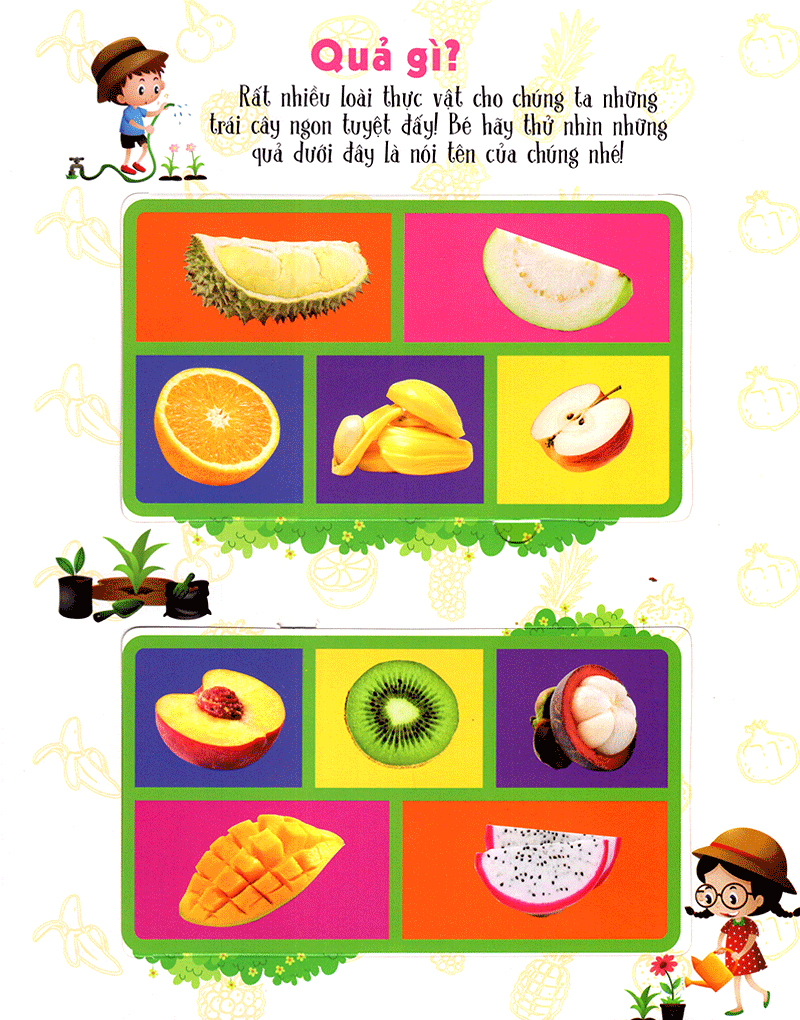 lift-the-flap-lật mở khám phá - first 100 plants - 100 từ đầu tiên về thế giới thực vật (tái bản 2018) - Ảnh 11