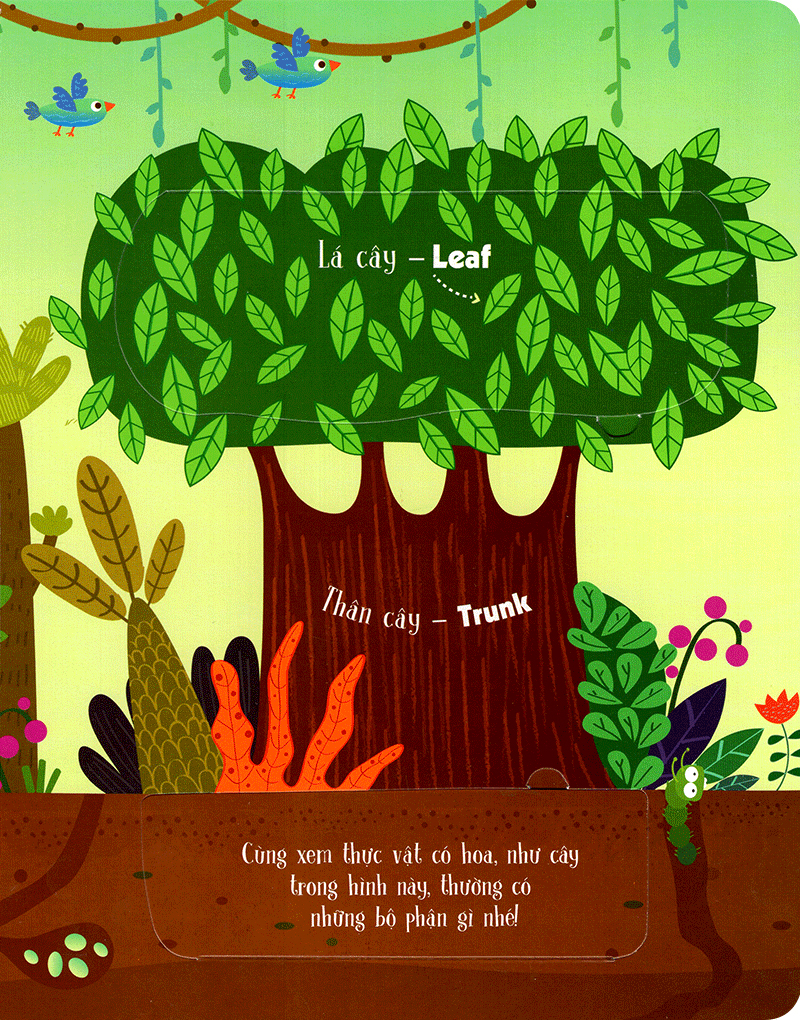 lift-the-flap-lật mở khám phá - first 100 plants - 100 từ đầu tiên về thế giới thực vật (tái bản 2018) - Ảnh 3