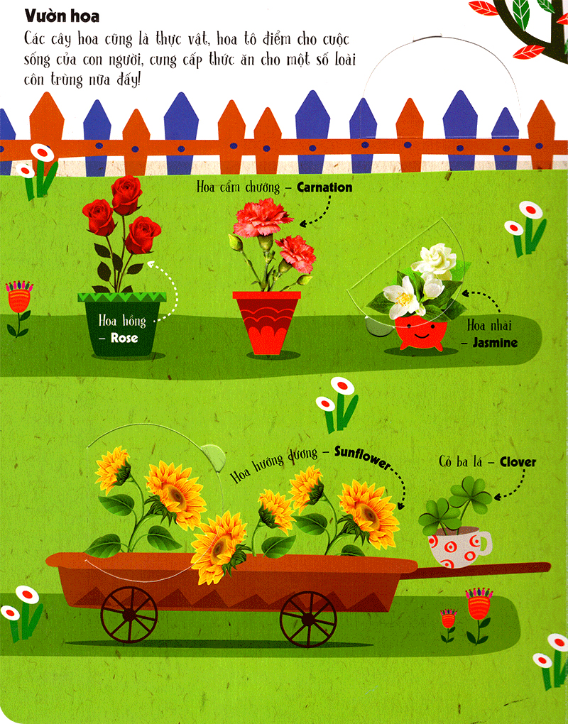 lift-the-flap-lật mở khám phá - first 100 plants - 100 từ đầu tiên về thế giới thực vật (tái bản 2018) - Ảnh 4