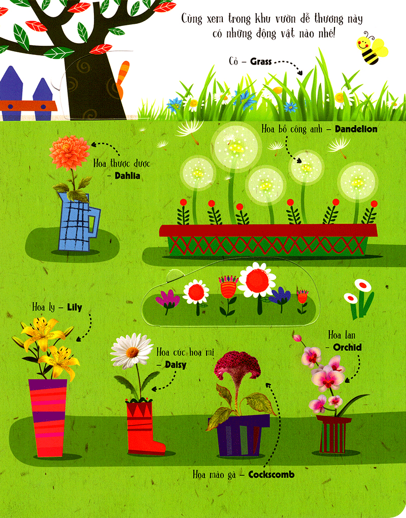 lift-the-flap-lật mở khám phá - first 100 plants - 100 từ đầu tiên về thế giới thực vật (tái bản 2018) - Ảnh 5