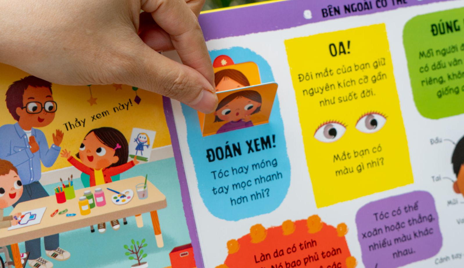 lift-the-flap - lật mở khám phá - những kiến thức đầu đời - cơ thể tuyệt diệu - Ảnh 4