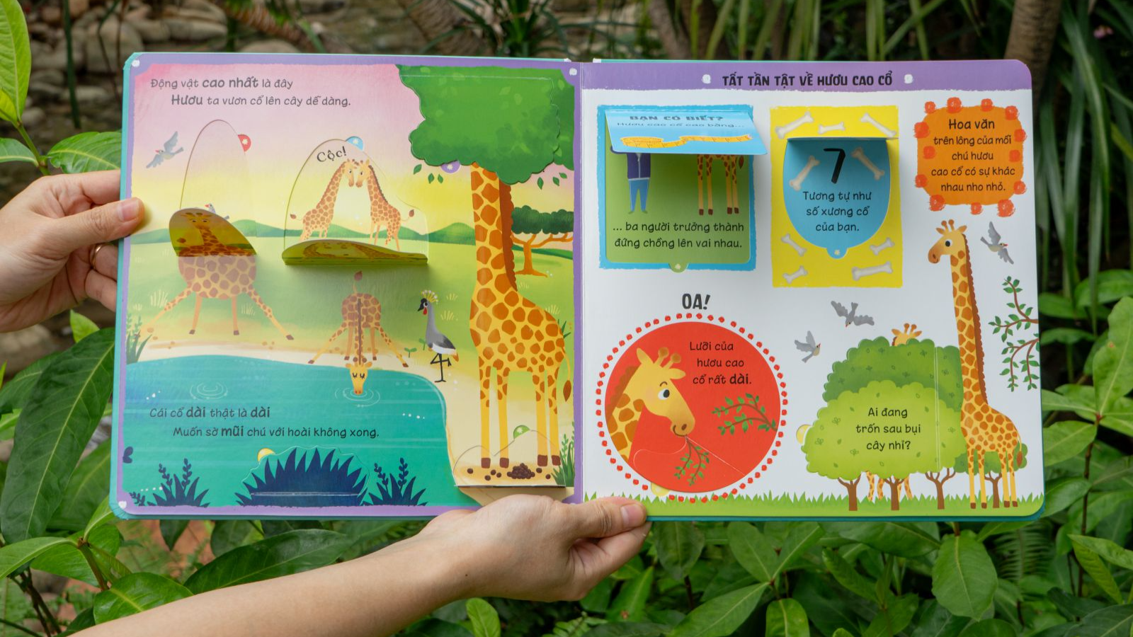 lift-the-flap - lật mở khám phá - những kiến thức đầu đời - những loài vật đáng kinh ngạc - Ảnh 3