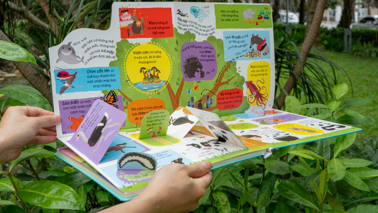 lift-the-flap - lật mở khám phá - những kiến thức đầu đời - những loài vật đáng kinh ngạc - Ảnh 4