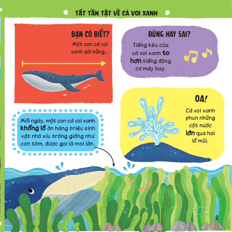 lift-the-flap - lật mở khám phá - những kiến thức đầu đời - những loài vật đáng kinh ngạc - Ảnh 5