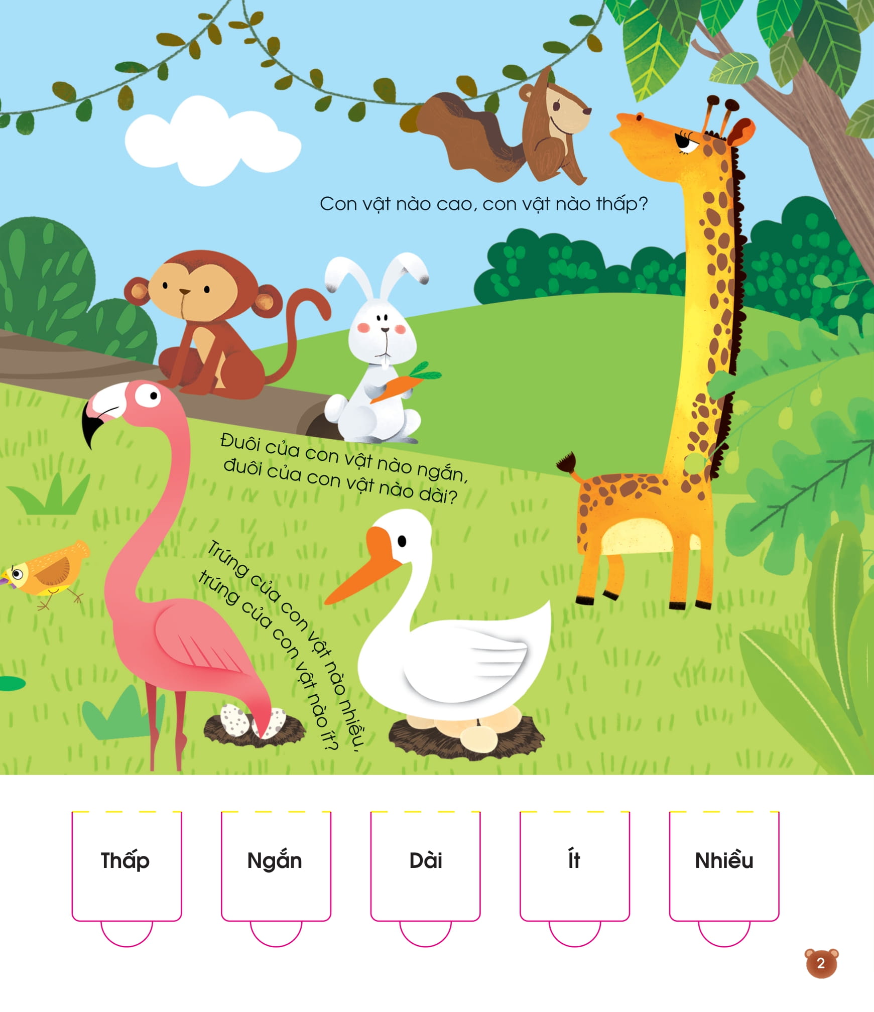 lift the flap - lật mở khám phá - so sánh - Ảnh 4