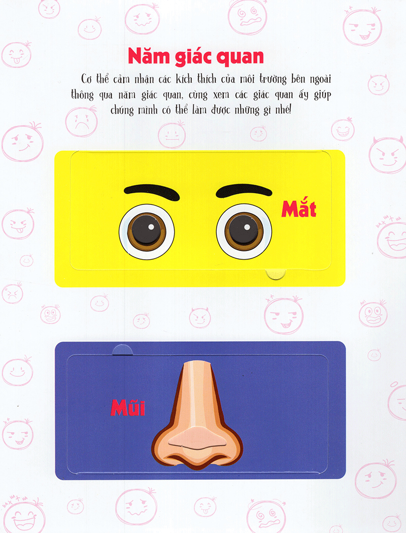 lift-the-flap - lật mở khám phá - the body - cơ thể người (tái bản 2018) - Ảnh 11