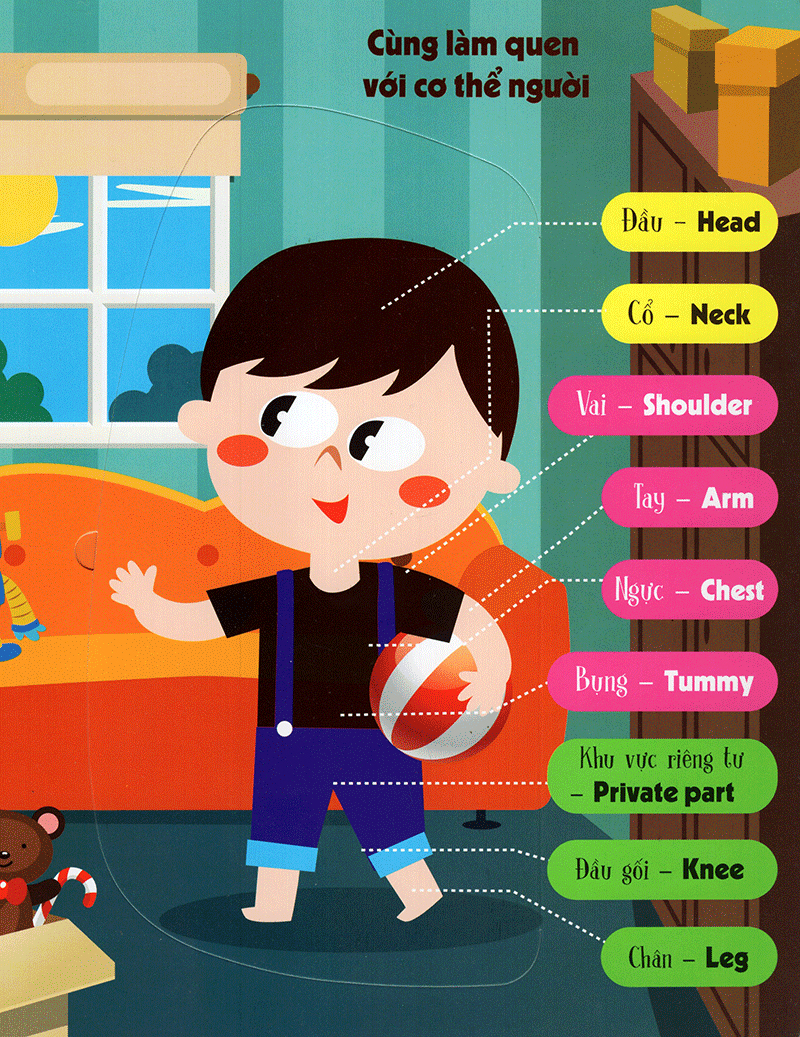 lift-the-flap - lật mở khám phá - the body - cơ thể người (tái bản 2018) - Ảnh 4